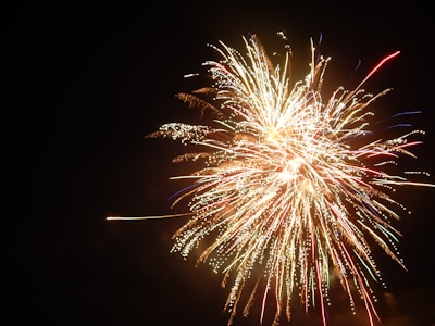 A vibrant fireworks explosion lighting up the night sky with bold colors.