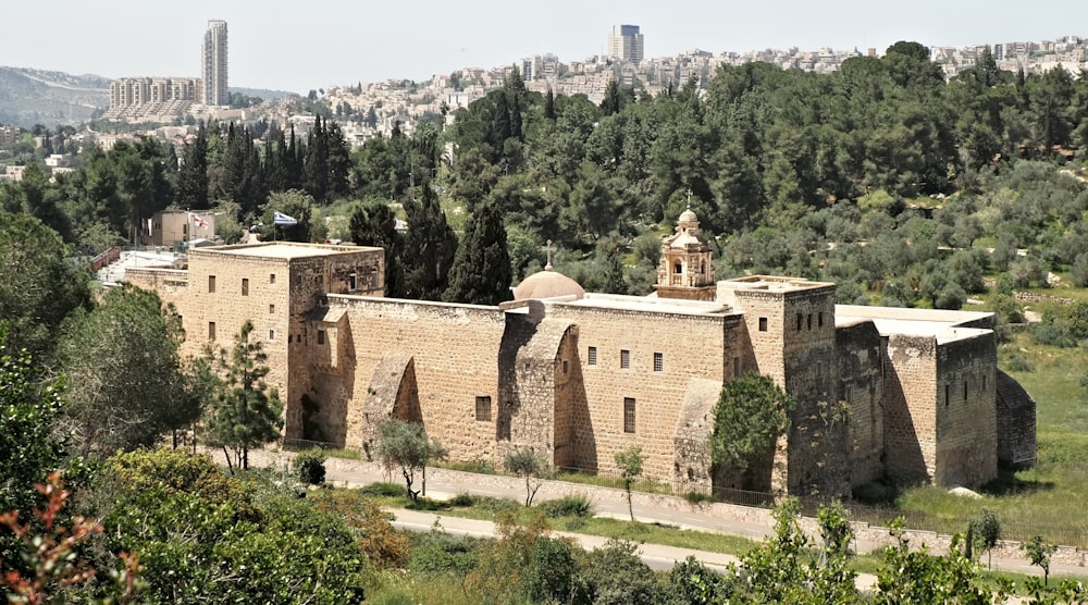 Un vecchio edificio nel mezzo di una foresta