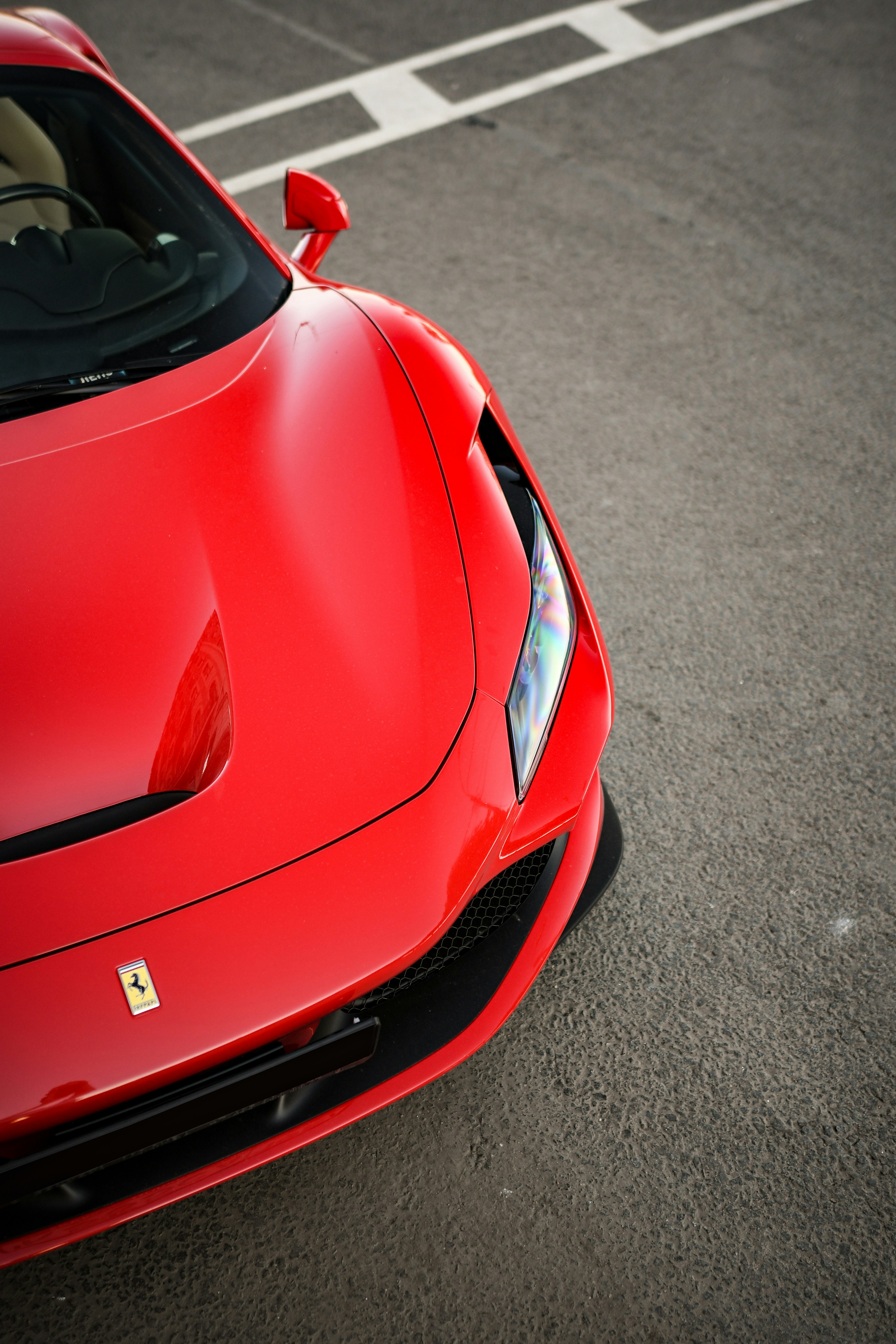 Photo by sz_photographer