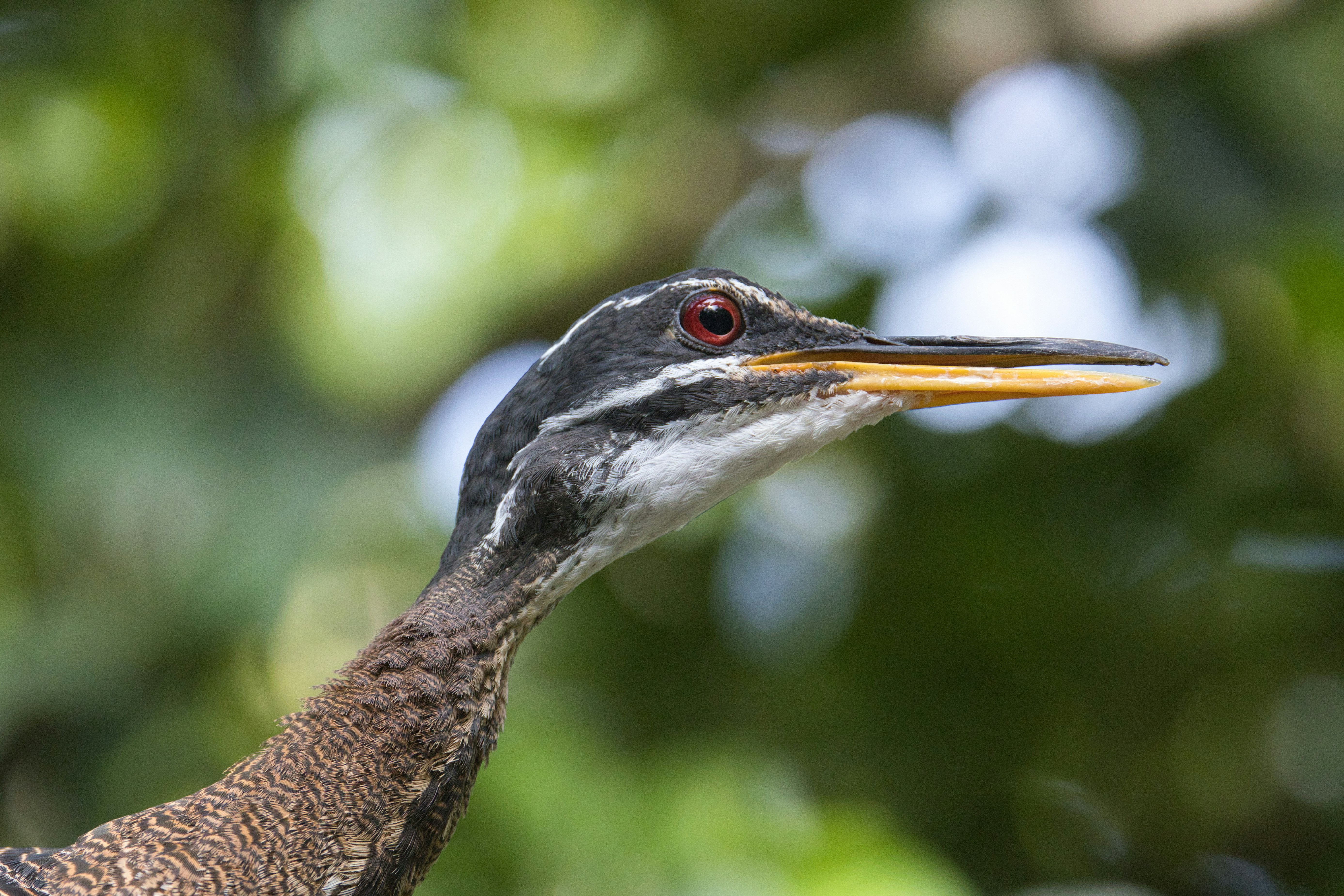 Photo by thephotochad