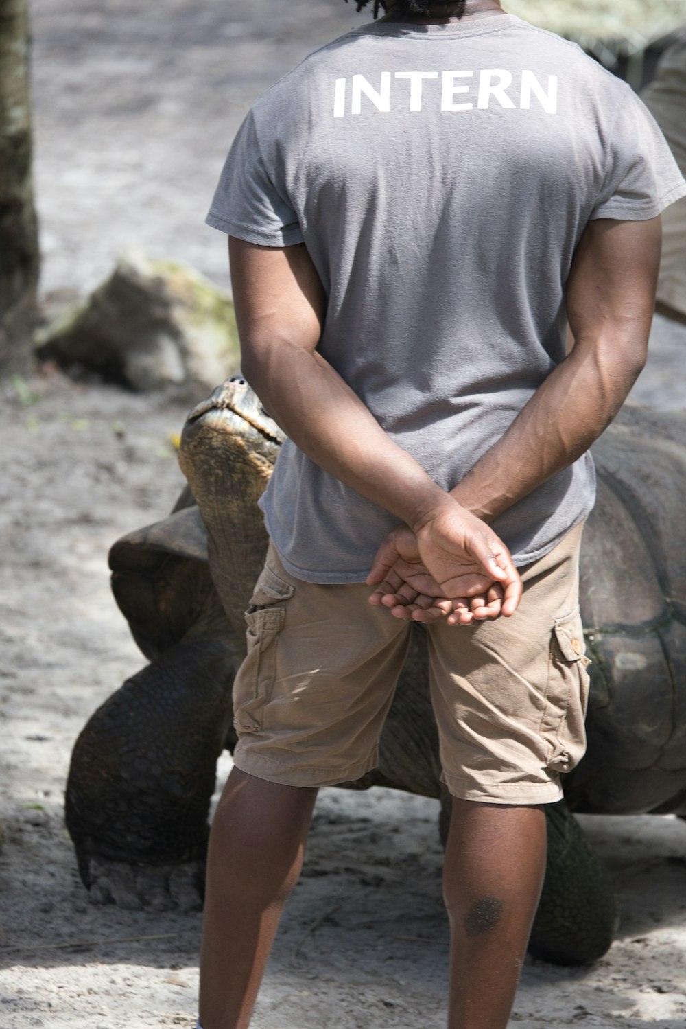 a man standing in front of a tortoise