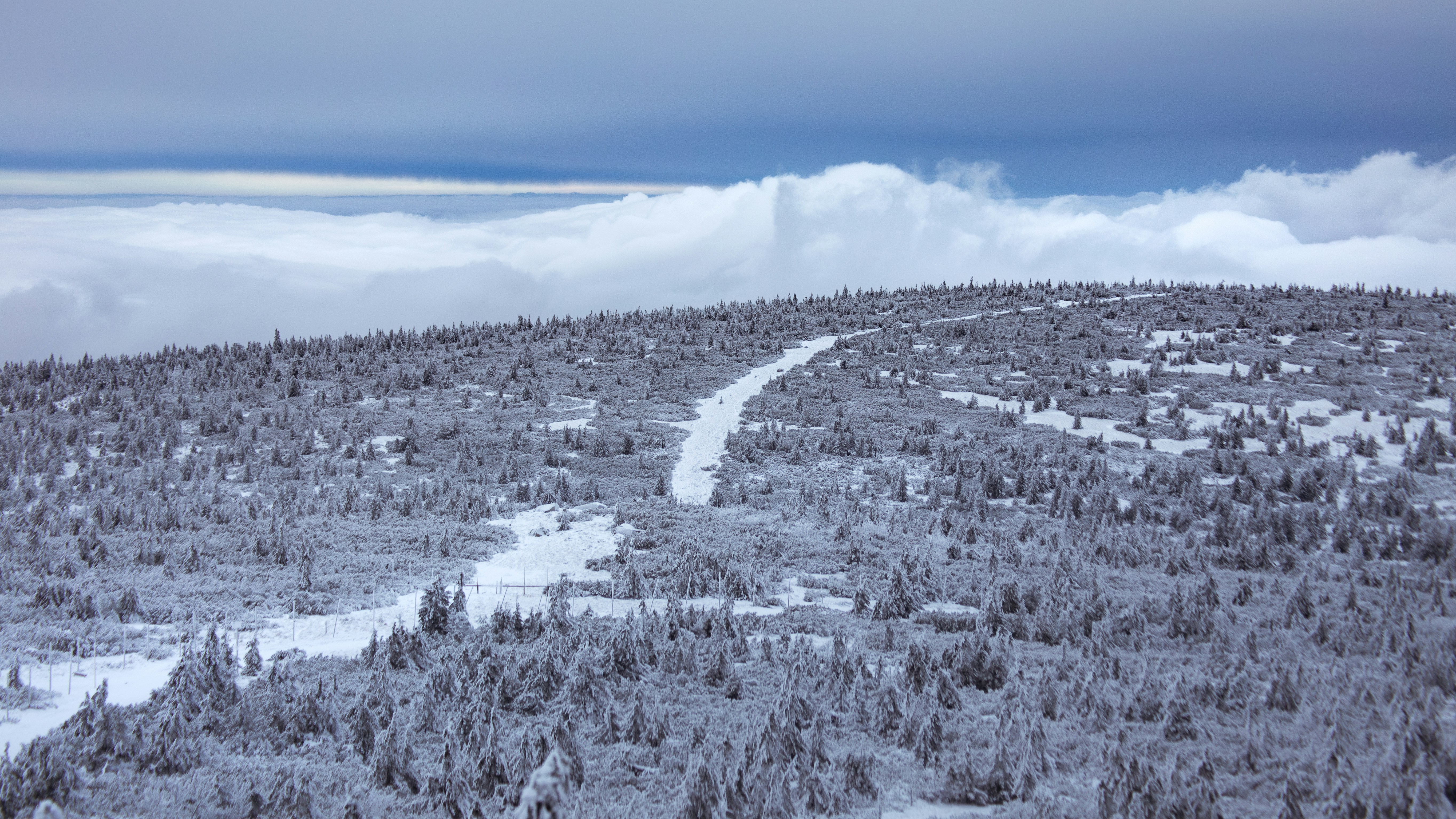 Photo by marekpiwnicki