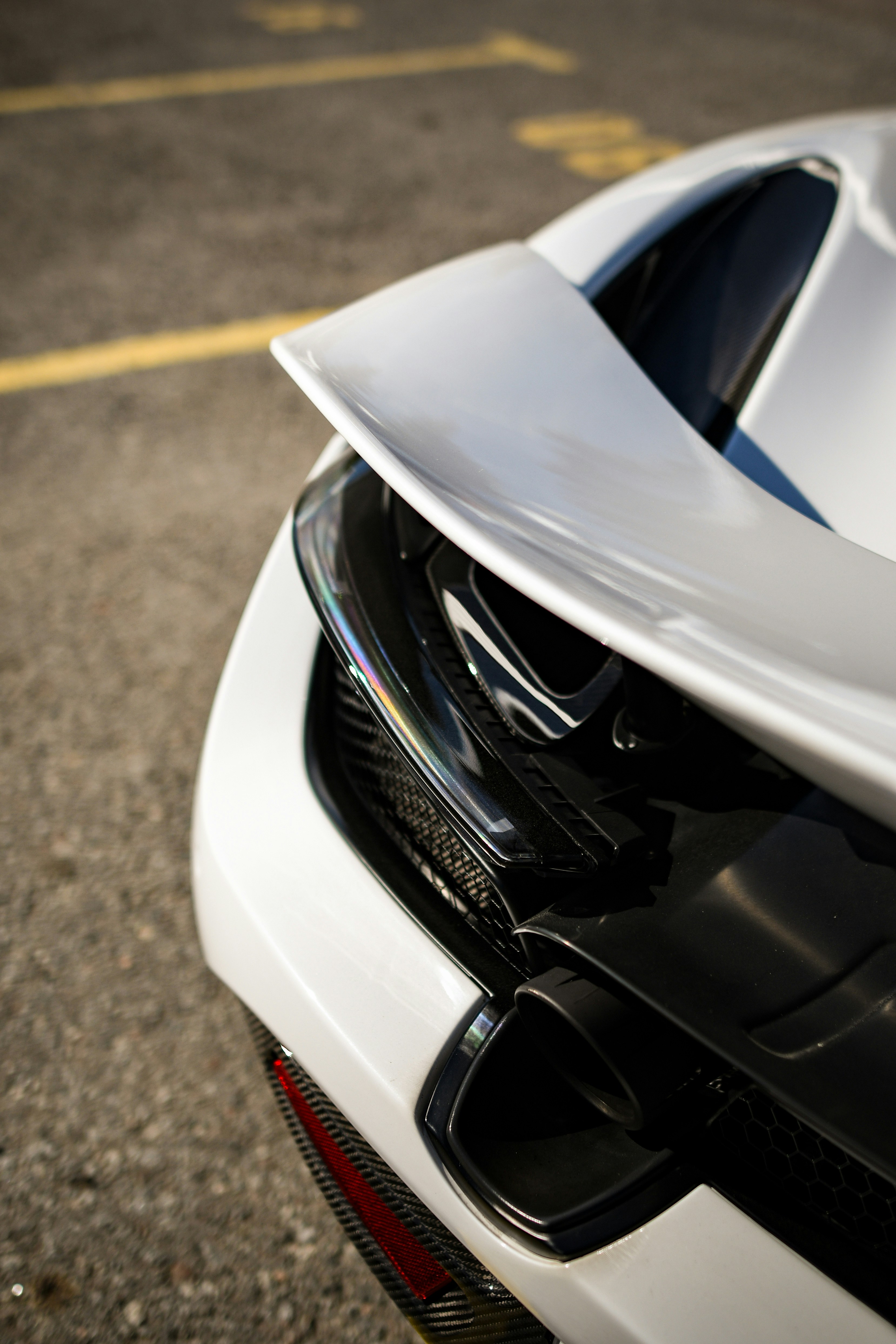 Photo by sz_photographer