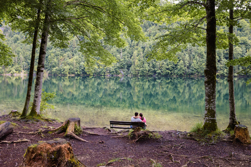 Canadian sugar couple enjoying a scenic view by the lake