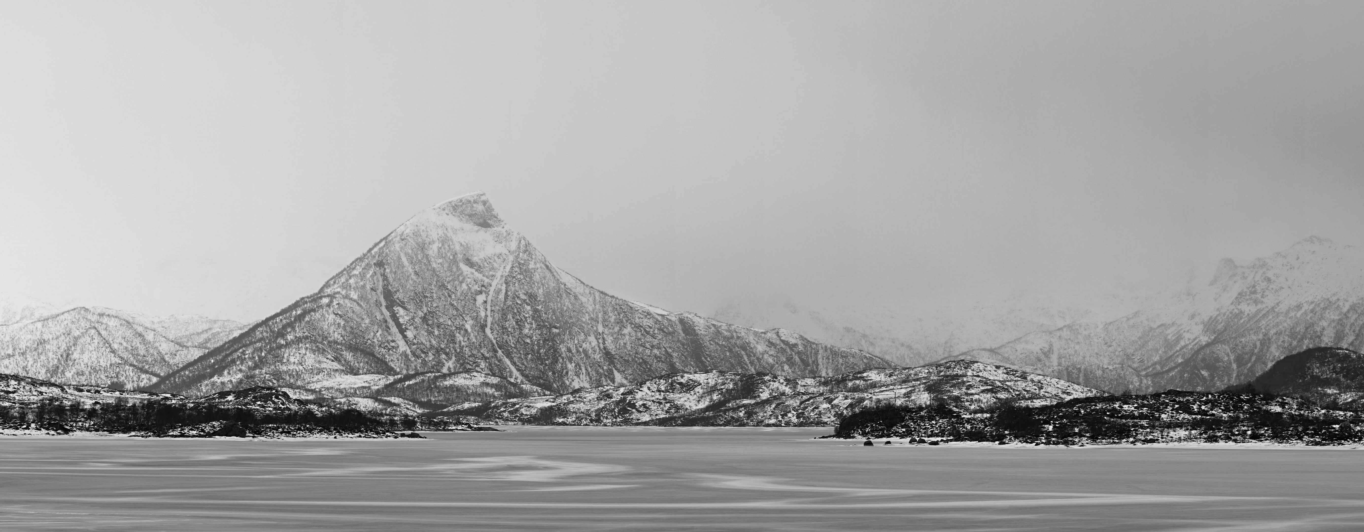 Photo by wolfgang_hasselmann