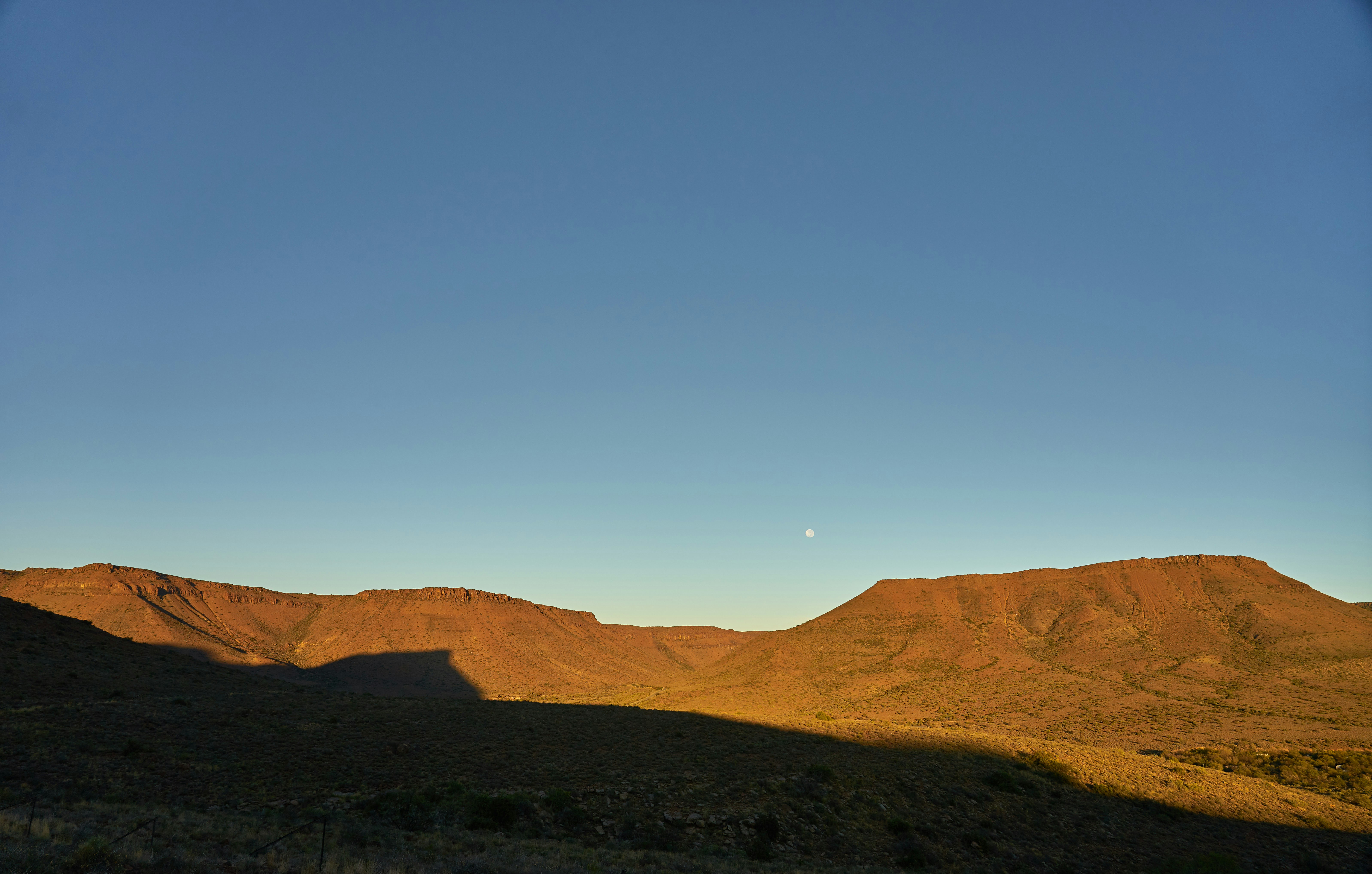 Photo by wolfgang_hasselmann