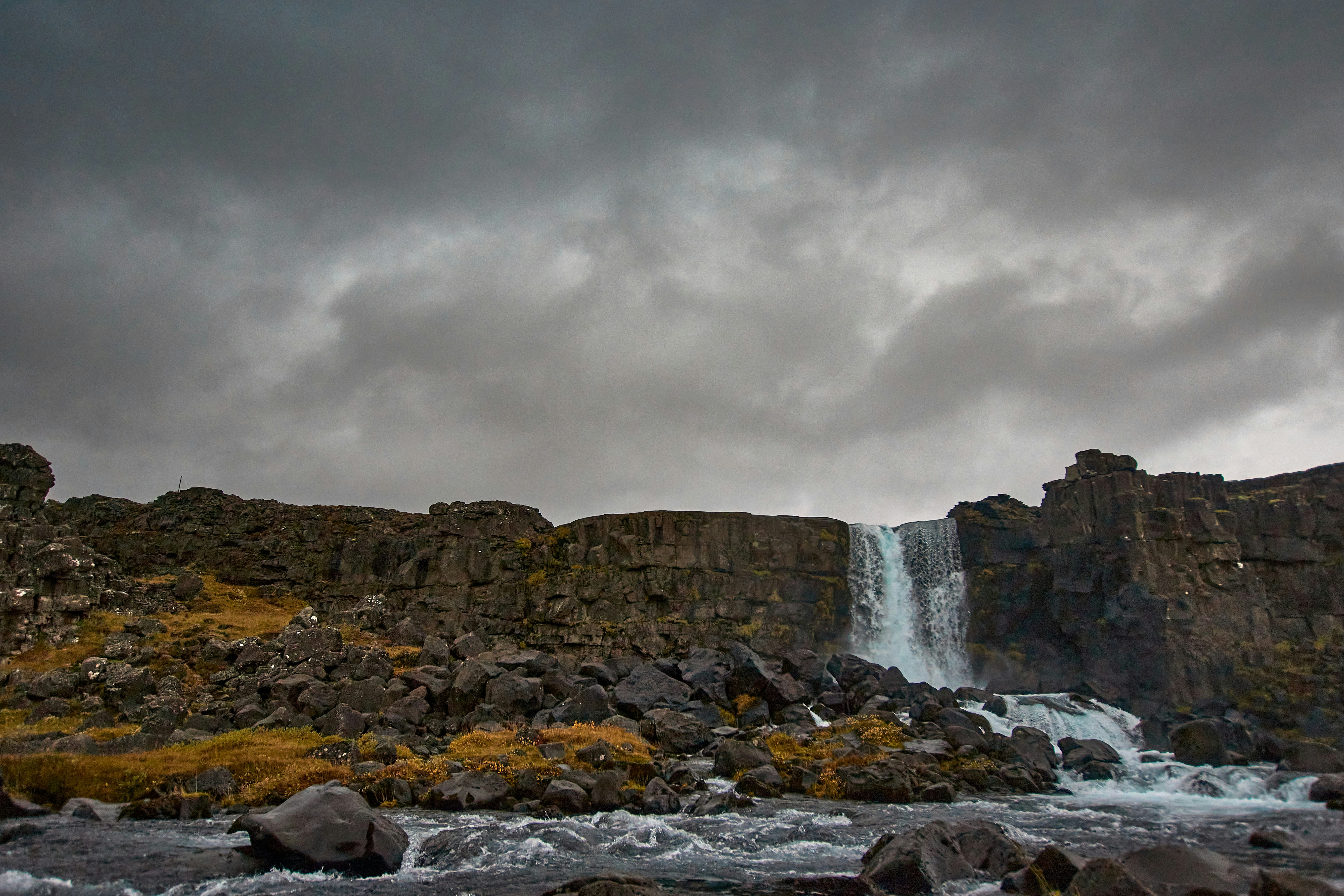 Photo by wolfgang_hasselmann