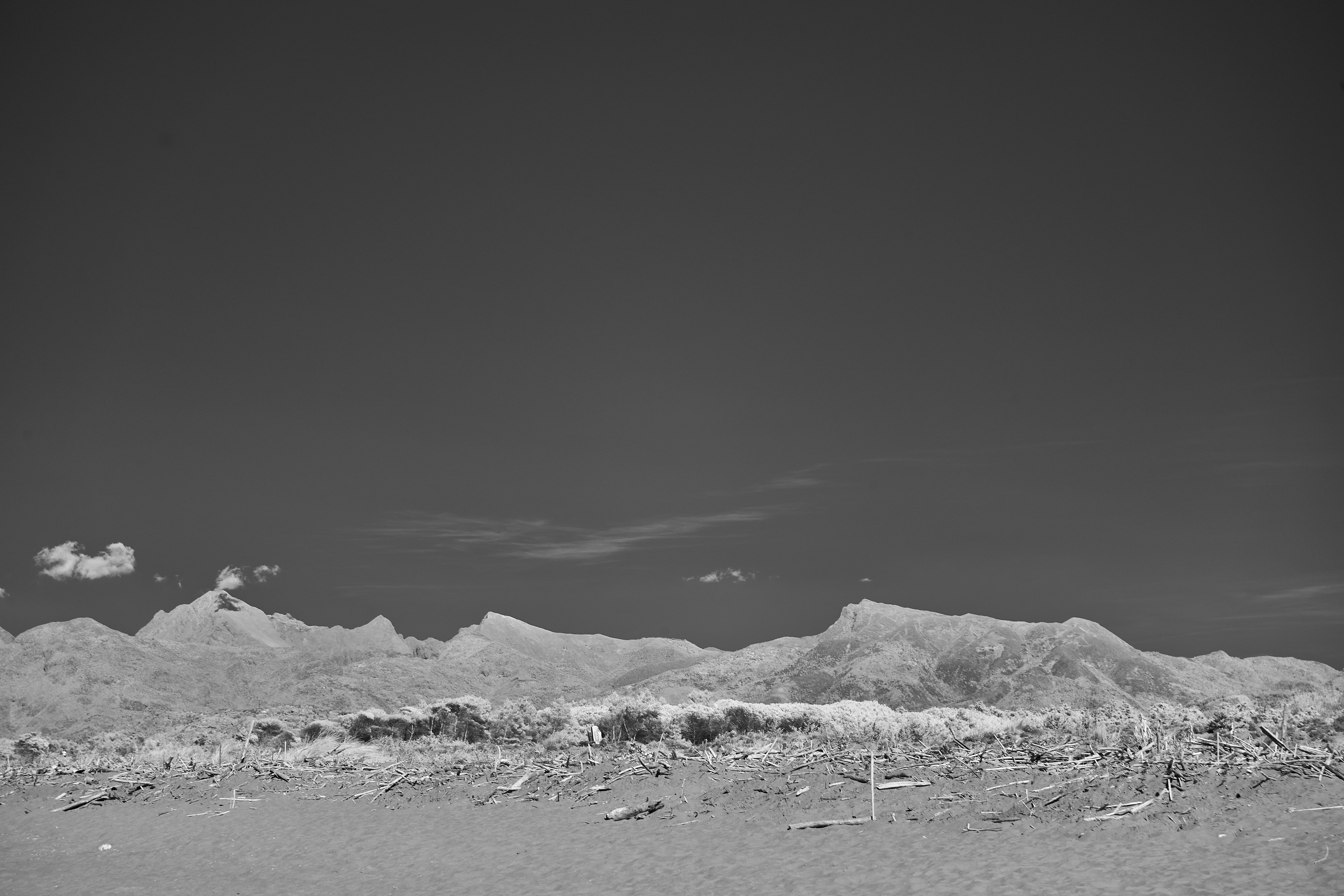 Photo by wolfgang_hasselmann