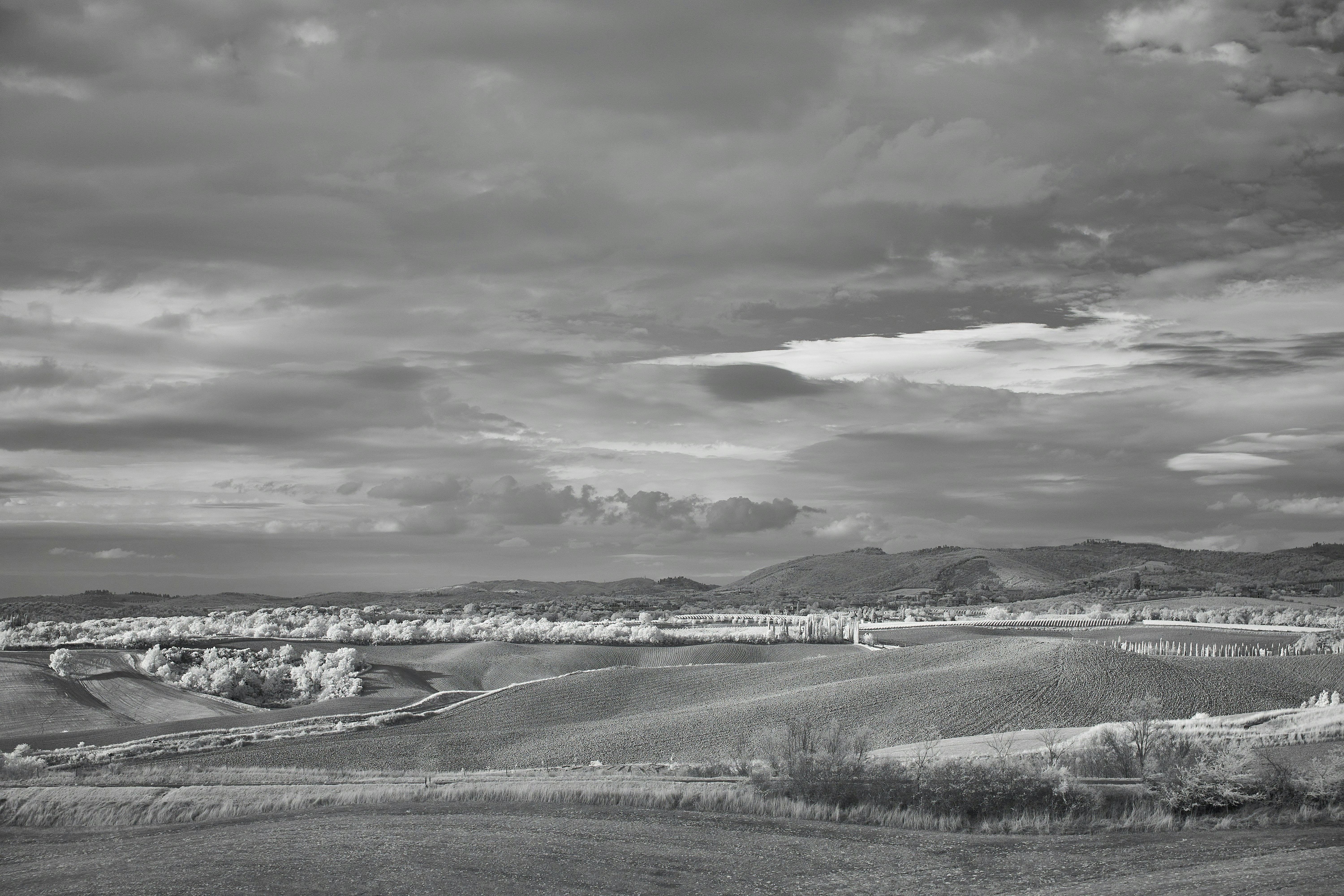 Photo by wolfgang_hasselmann