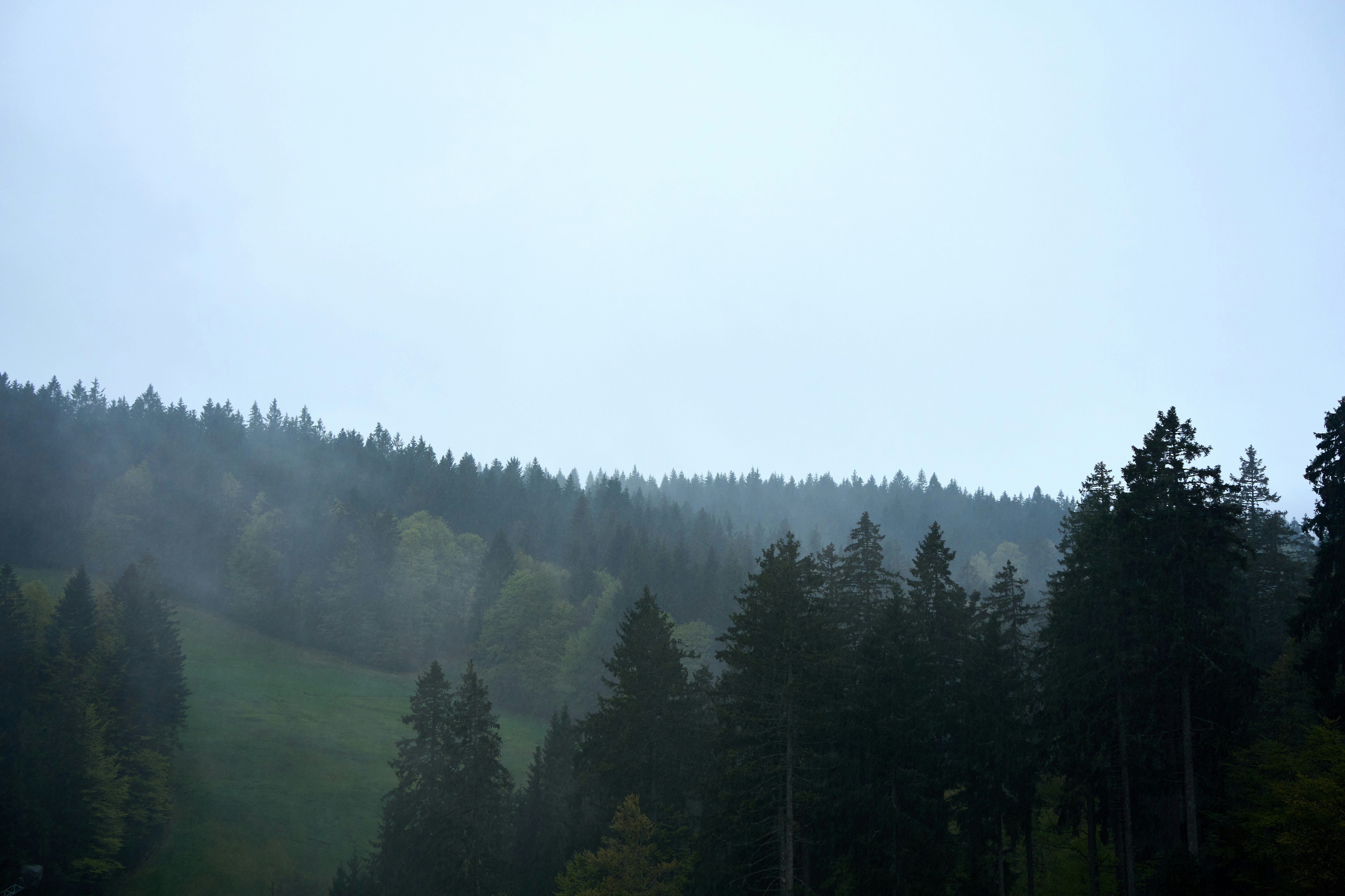 Photo by wolfgang_hasselmann