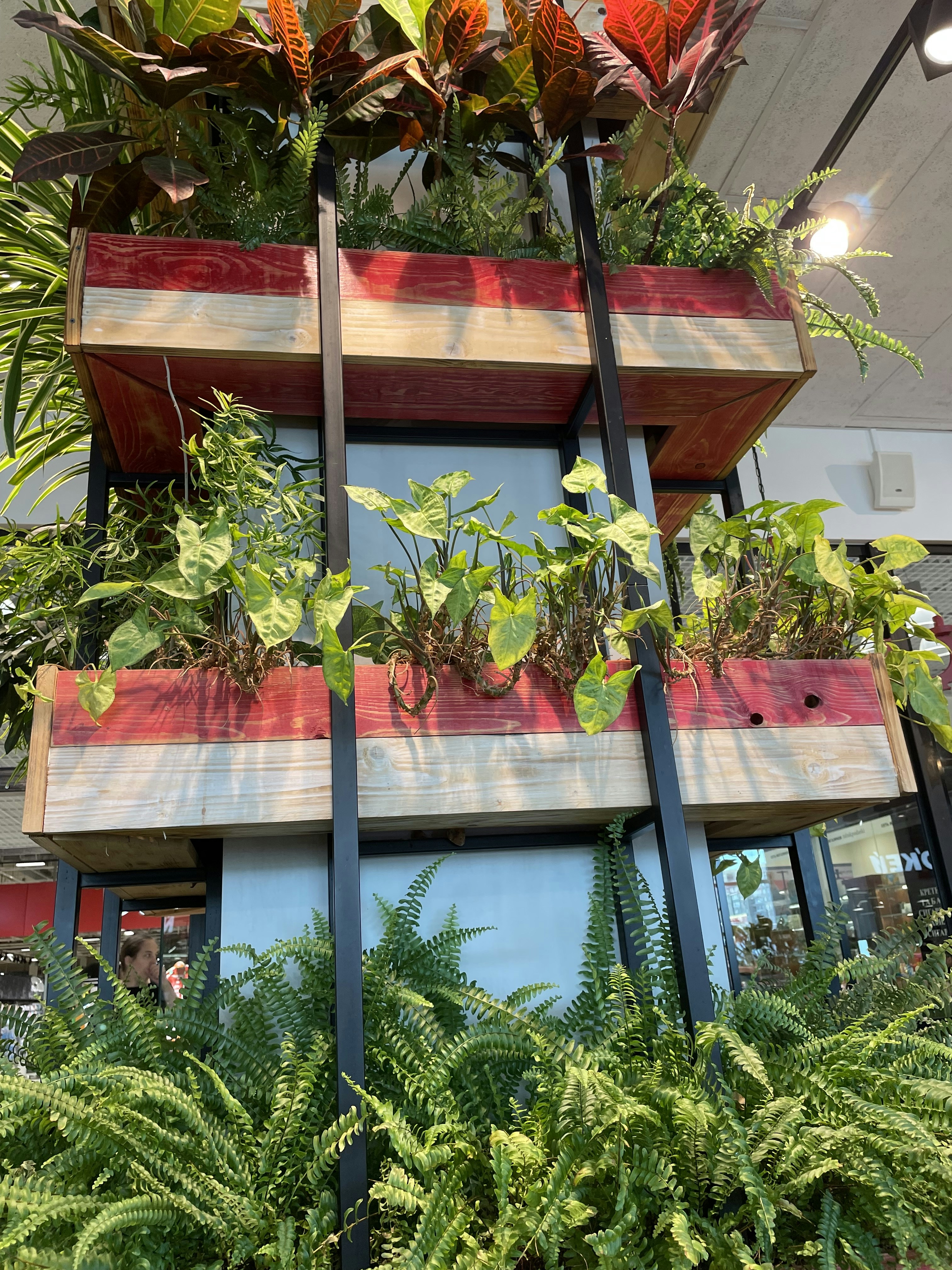 Compact Hydroponic Tower System