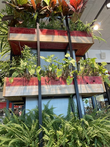 A vertically arranged, multi-level planter structure with lush greenery. The planters are wooden with red and natural wood finish, supported by black metal frames. Various types of plants, including ferns and other leafy vegetation, are growing at different levels. Natural light illuminates the area, giving it a fresh and vibrant atmosphere. In the background, a glimpse of an indoor setting with ceiling lights and part of a building interior is visible.