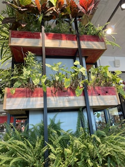 A vertically arranged, multi-level planter structure with lush greenery. The planters are wooden with red and natural wood finish, supported by black metal frames. Various types of plants, including ferns and other leafy vegetation, are growing at different levels. Natural light illuminates the area, giving it a fresh and vibrant atmosphere. In the background, a glimpse of an indoor setting with ceiling lights and part of a building interior is visible.