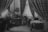 A man sits at a desk in a richly decorated room, surrounded by heavy drapery and various furnishings. Papers and books are spread across the desk and nearby table. There are ornate curtains, plants, and artwork on the walls, creating a classic and intellectual atmosphere.