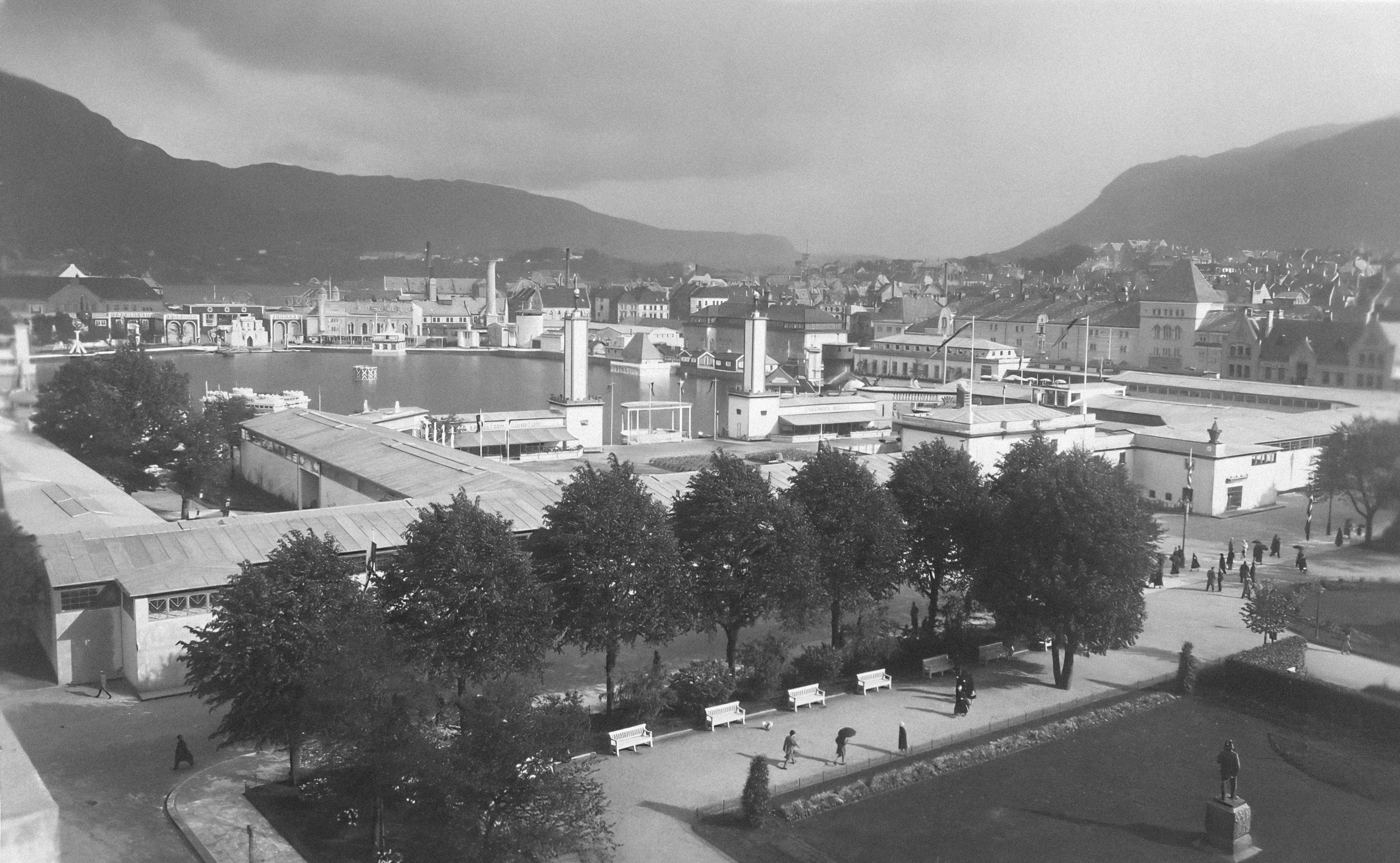 Photo by bergen