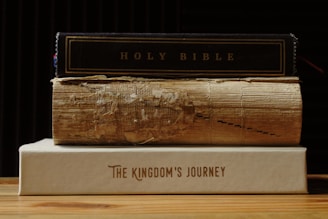 A stack of three books is placed on a wooden surface. The top book is titled 'HOLY BIBLE' with a dark cover. The middle book appears old and worn, with noticeable damage and frayed edges. The bottom book has a clean beige cover and is titled 'THE KINGDOM'S JOURNEY'.