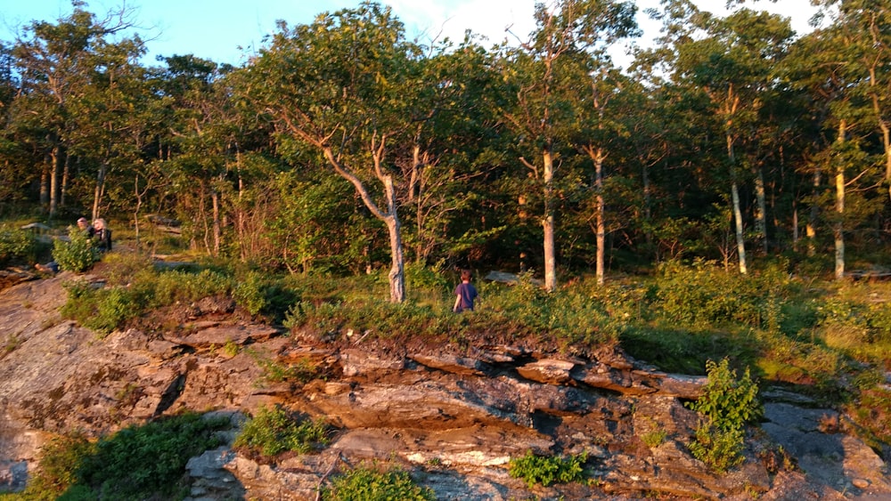 a group of people standing on top of a lush green hillside