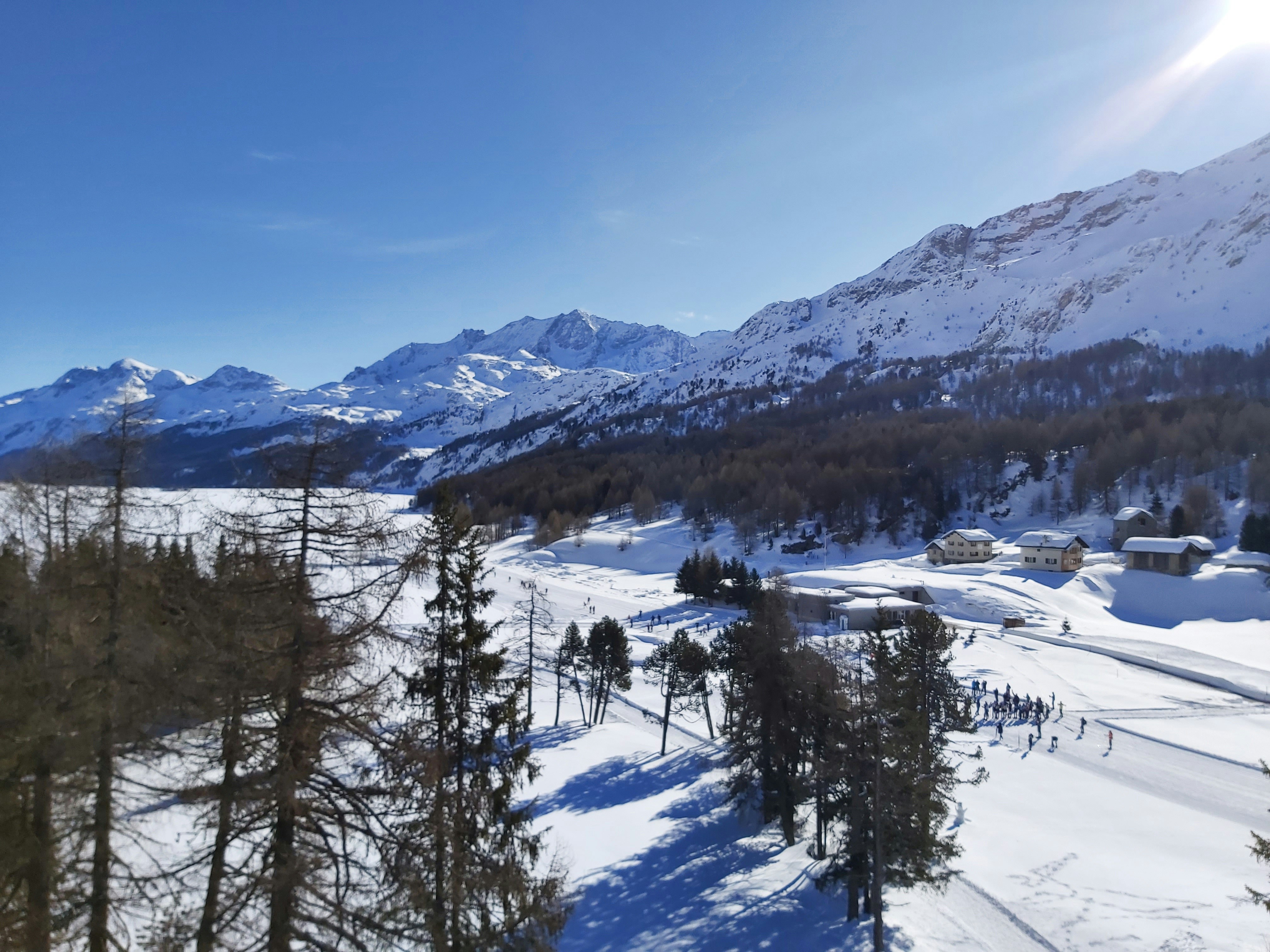 Photo by danielafoto