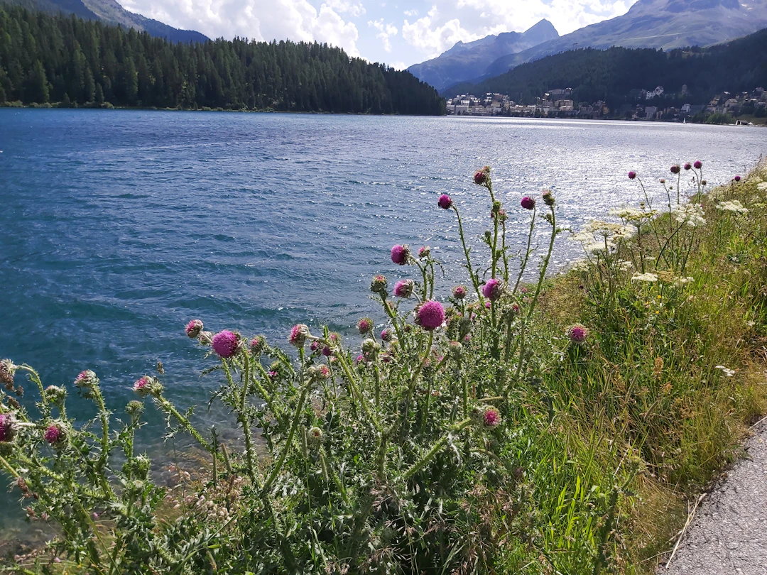 5-Day St Moritz Budget Itinerary: Backpacker's Guide