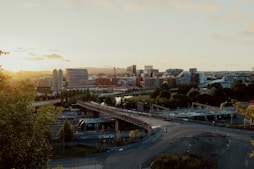 a view of a city with a bridge in the foreground