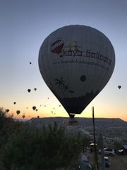 A large hot air balloon is prominently in the foreground, with several other smaller balloons scattered across the sky as the sun rises or sets on the horizon. The landscape below shows hills and sparse vegetation, while the balloon displays a logo and website. The scene conveys a sense of adventure and serenity.
