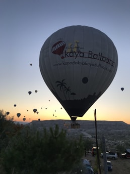 A large hot air balloon is prominently in the foreground, with several other smaller balloons scattered across the sky as the sun rises or sets on the horizon. The landscape below shows hills and sparse vegetation, while the balloon displays a logo and website. The scene conveys a sense of adventure and serenity.