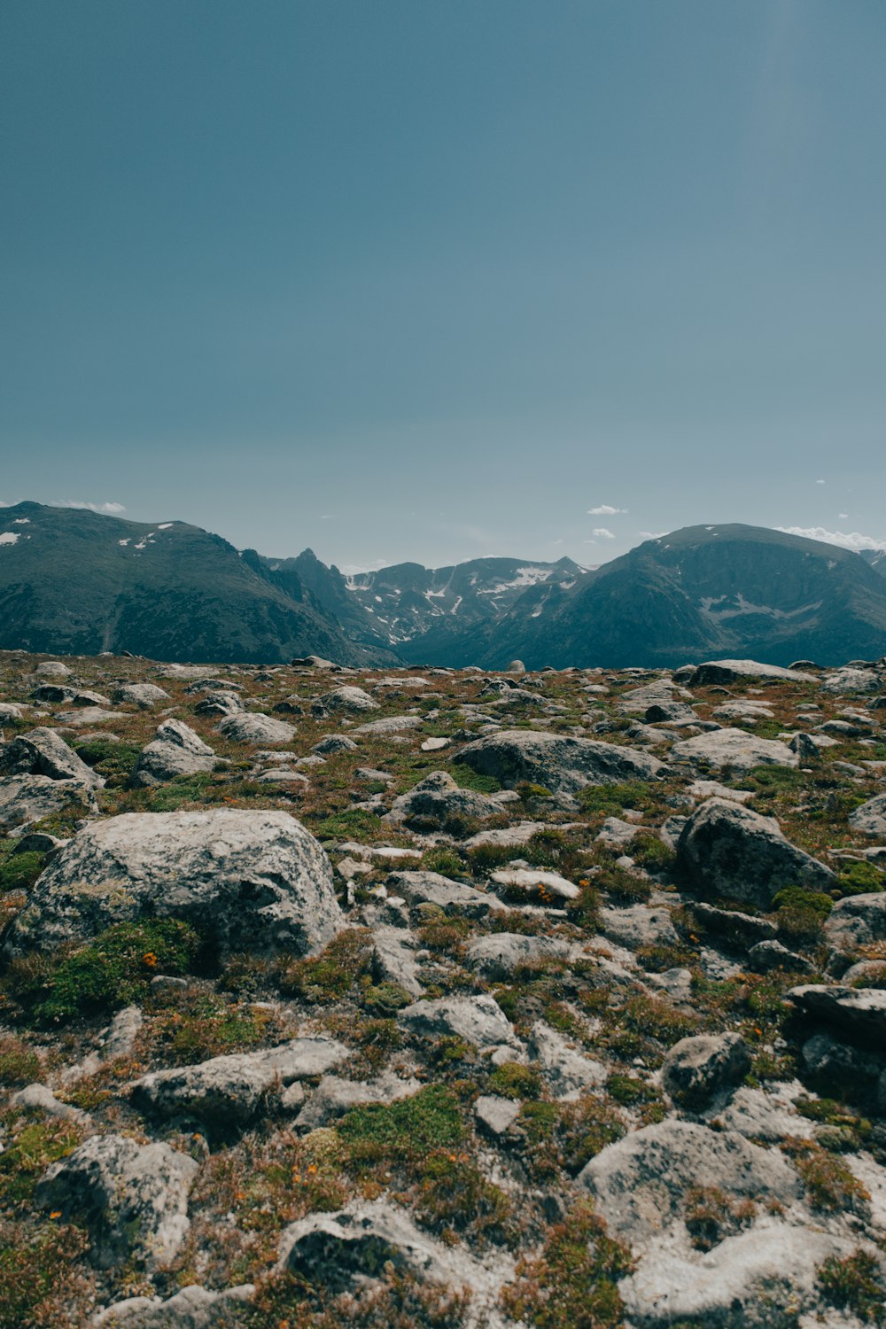 a rocky field with grass and rocks in the foreground