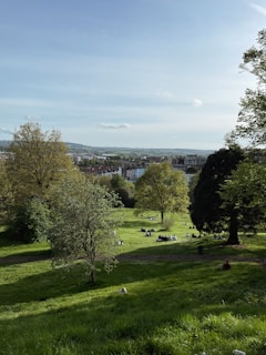 a grassy field with trees and animals in the distance