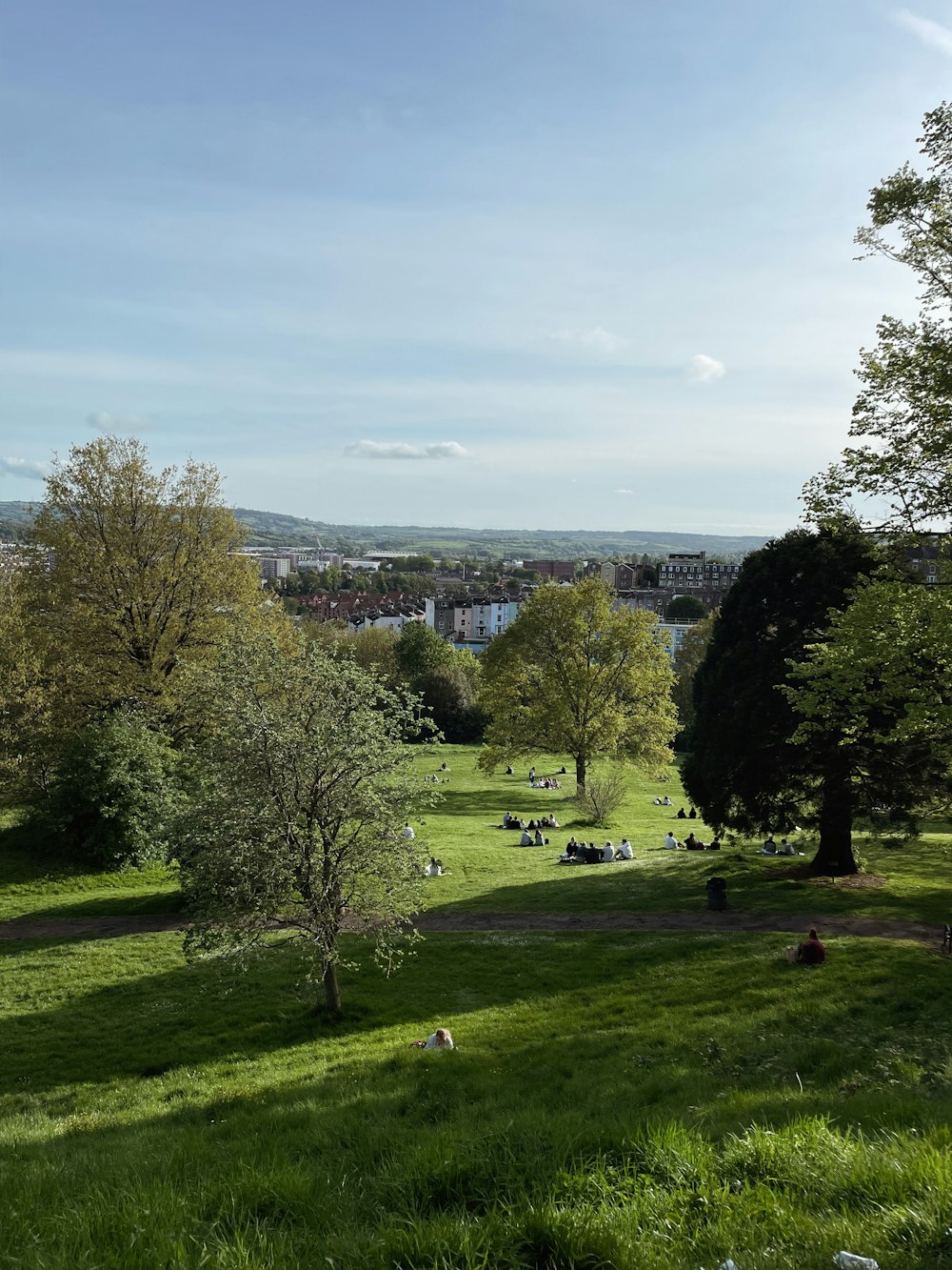 a grassy field with trees and animals in the distance