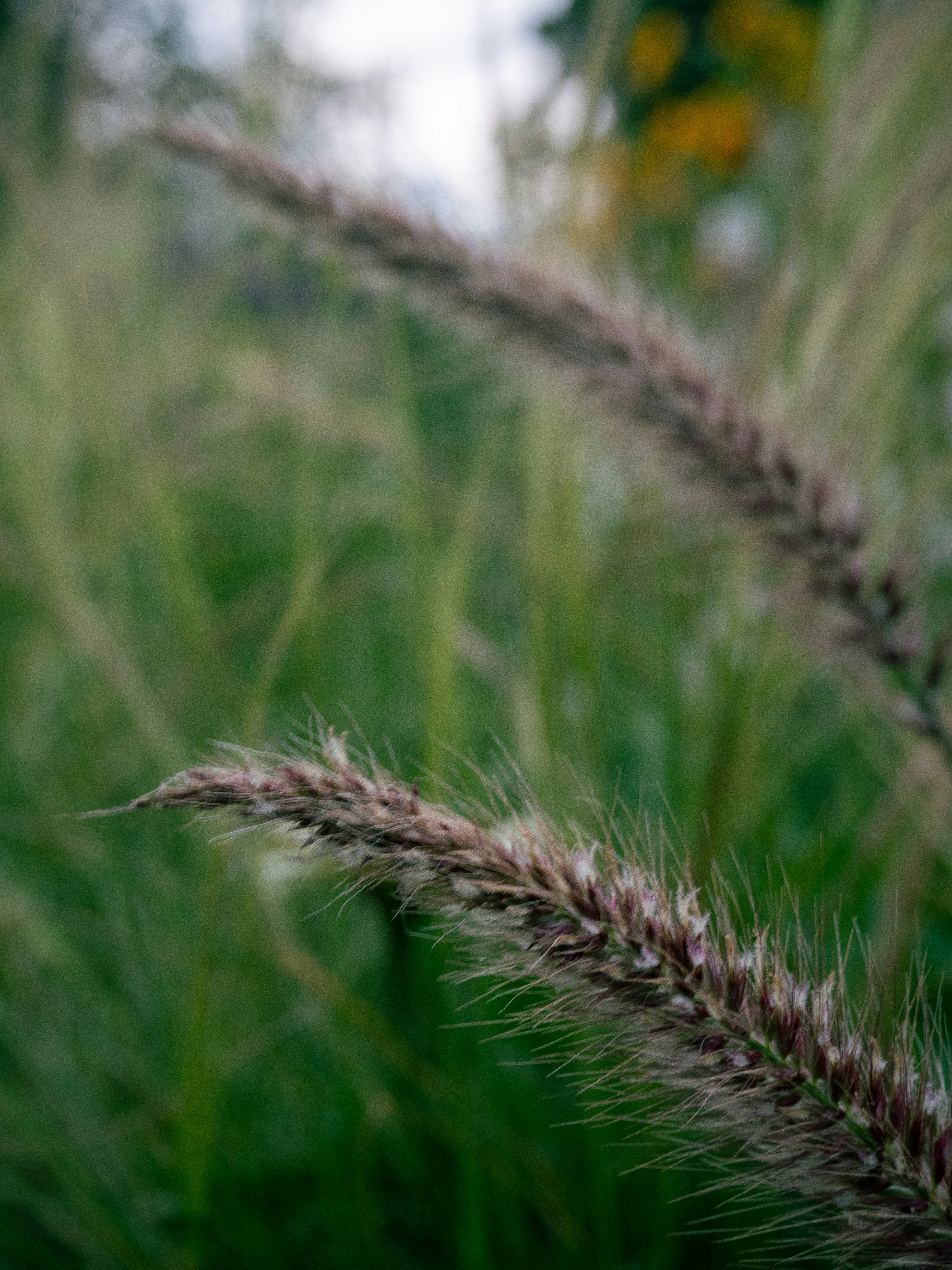 Photo by janifreelancing