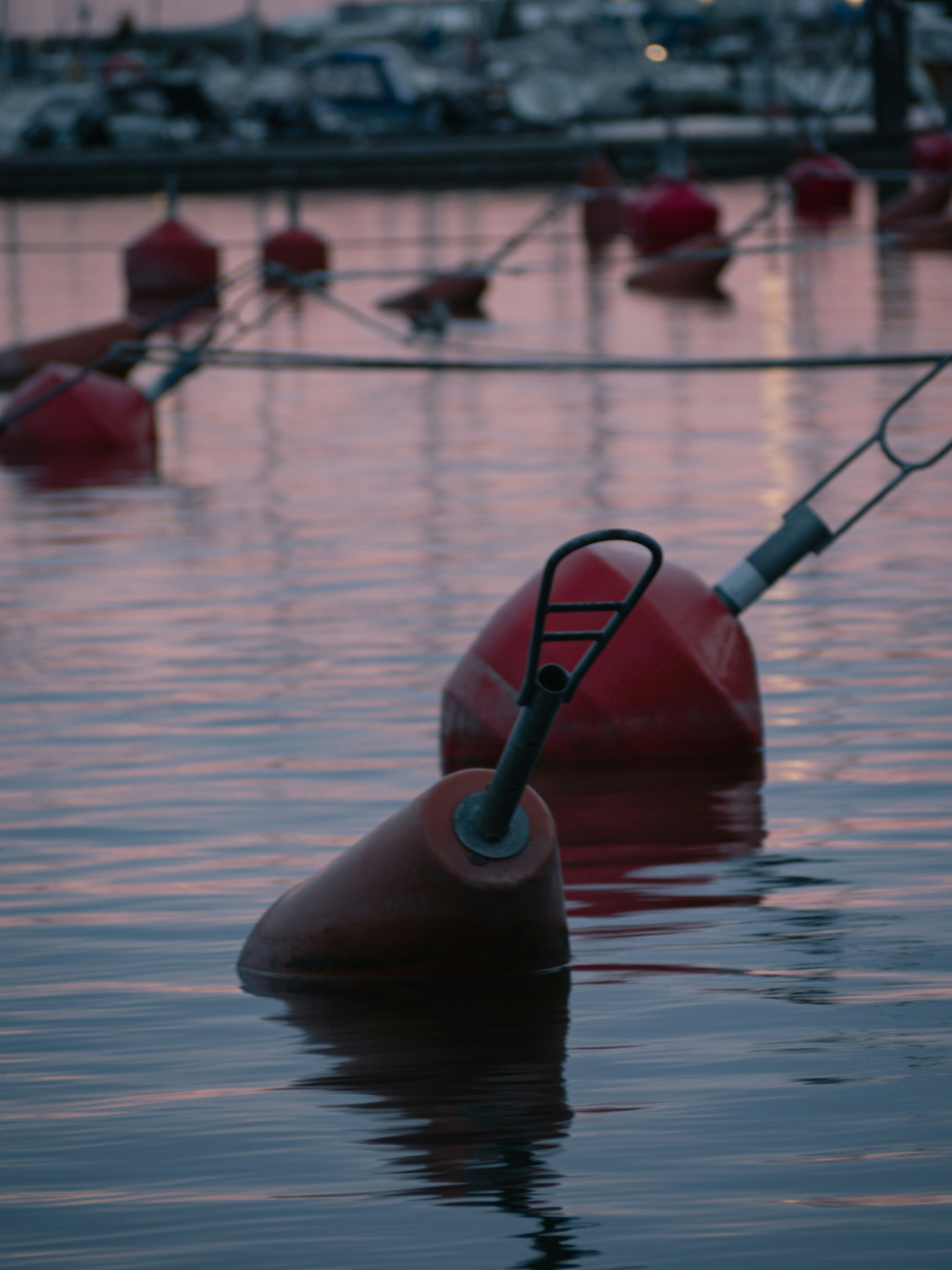 Photo by janifreelancing