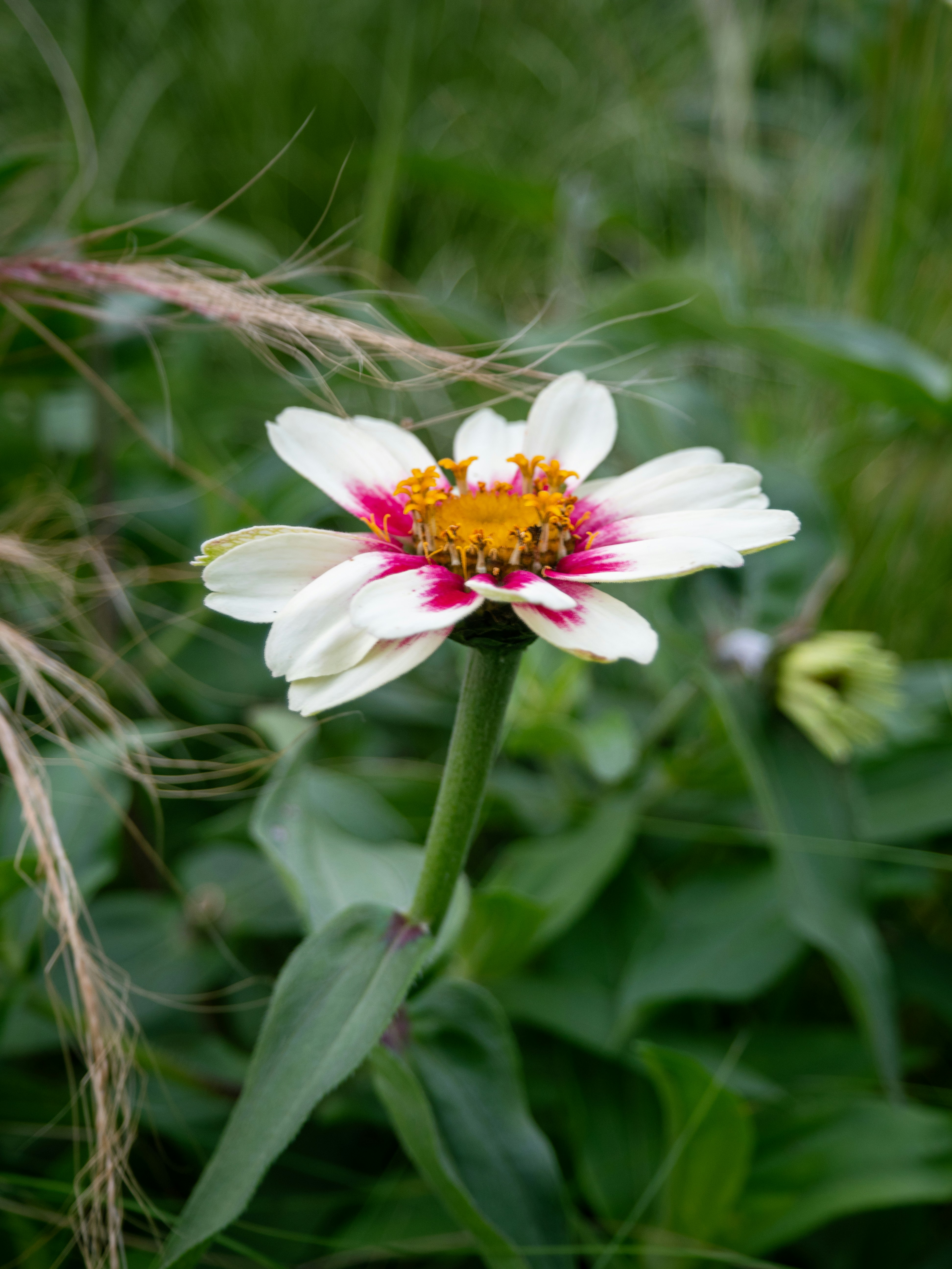 Photo by janifreelancing