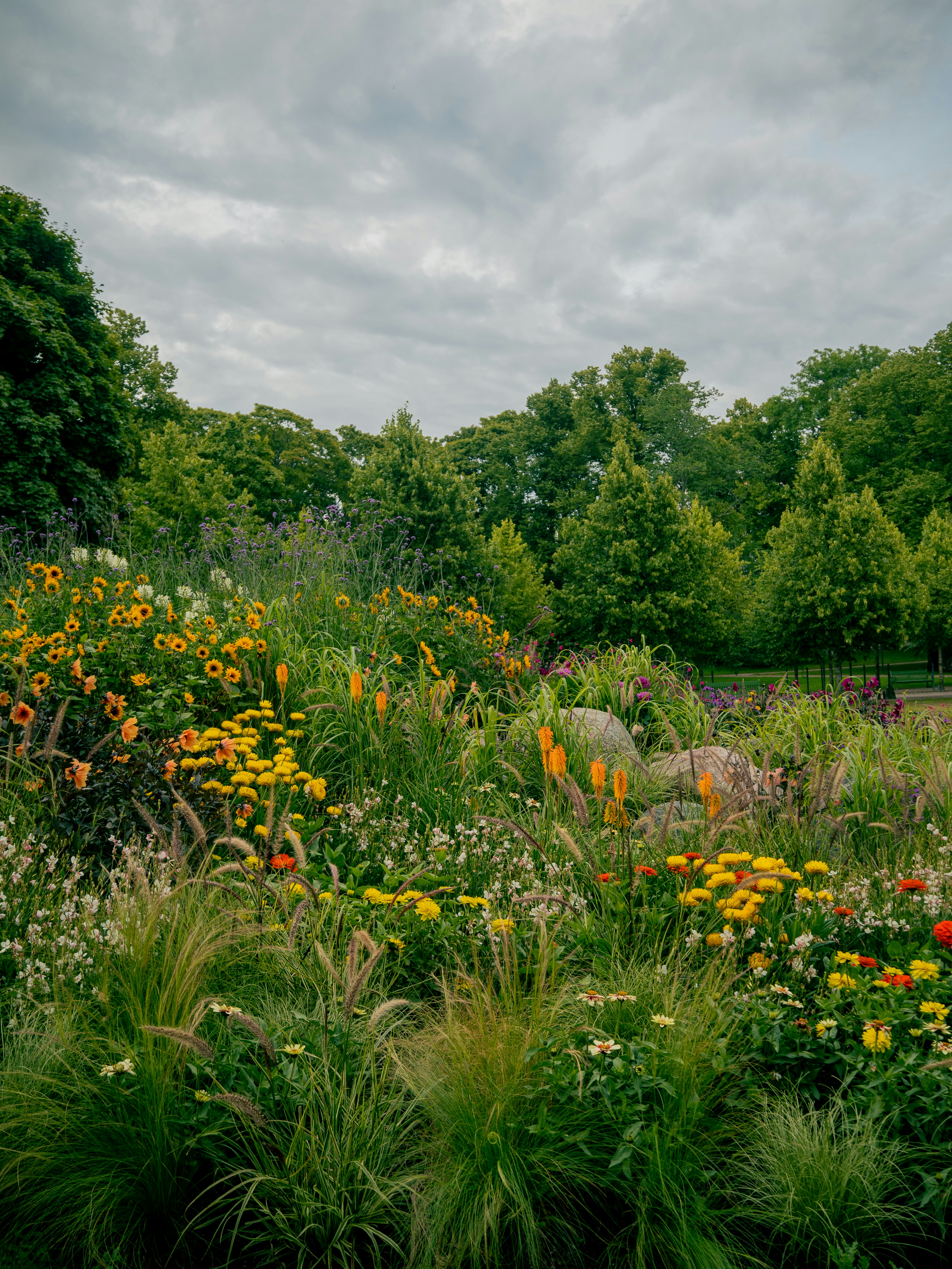 A field full of flowers and trees under a cloudy sky photo – Free ...