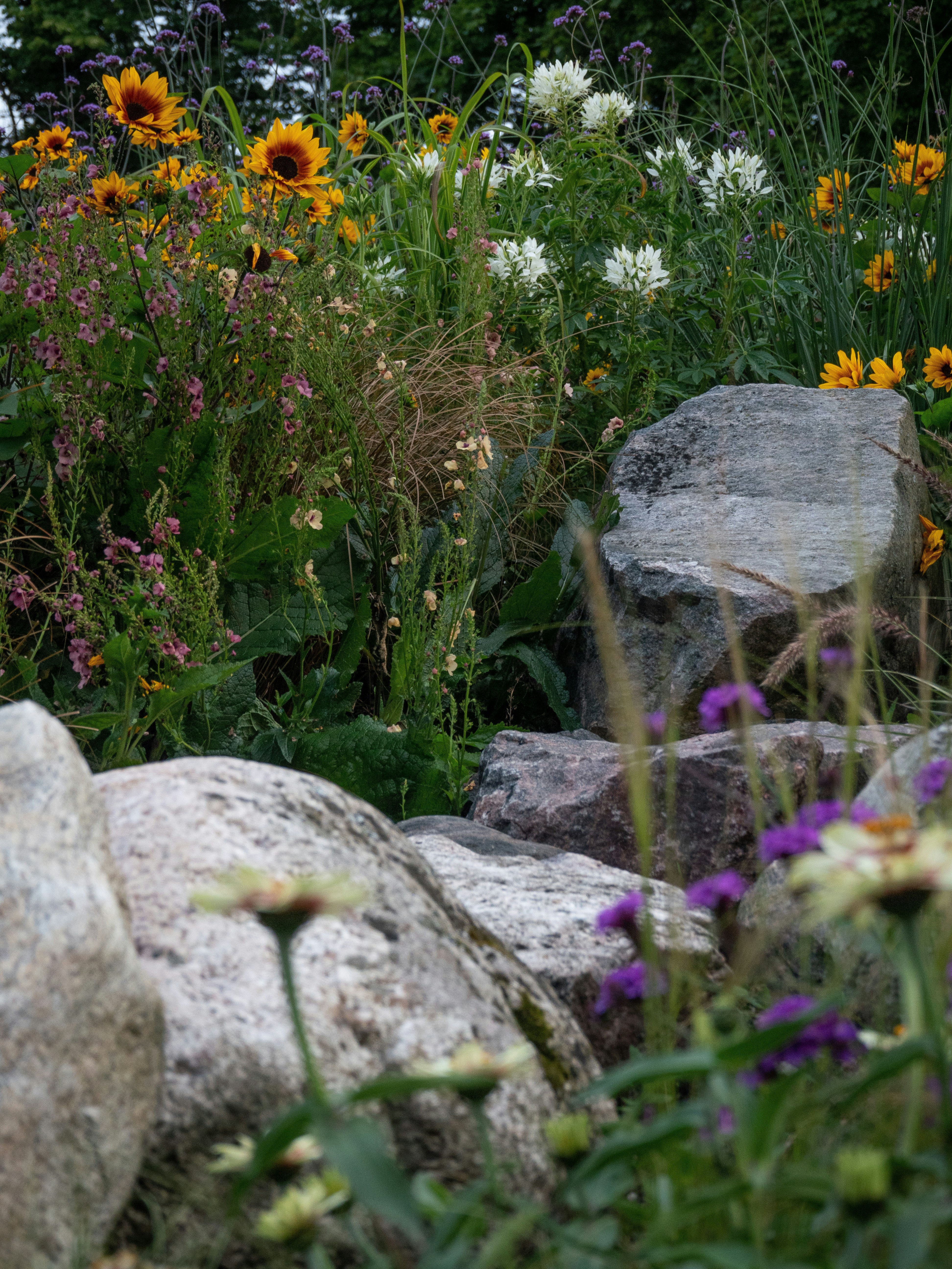 Photo by janifreelancing