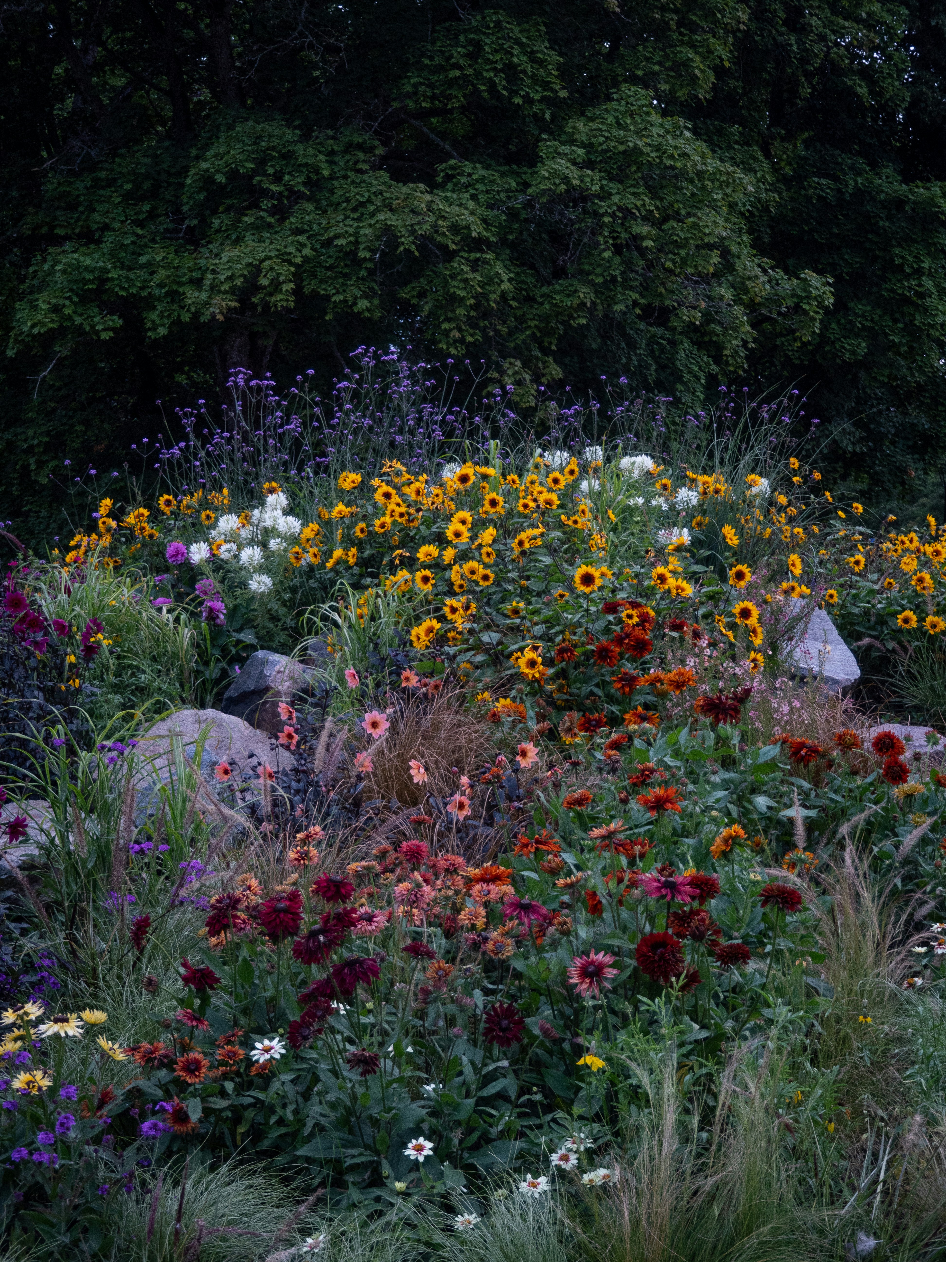 Photo by janifreelancing