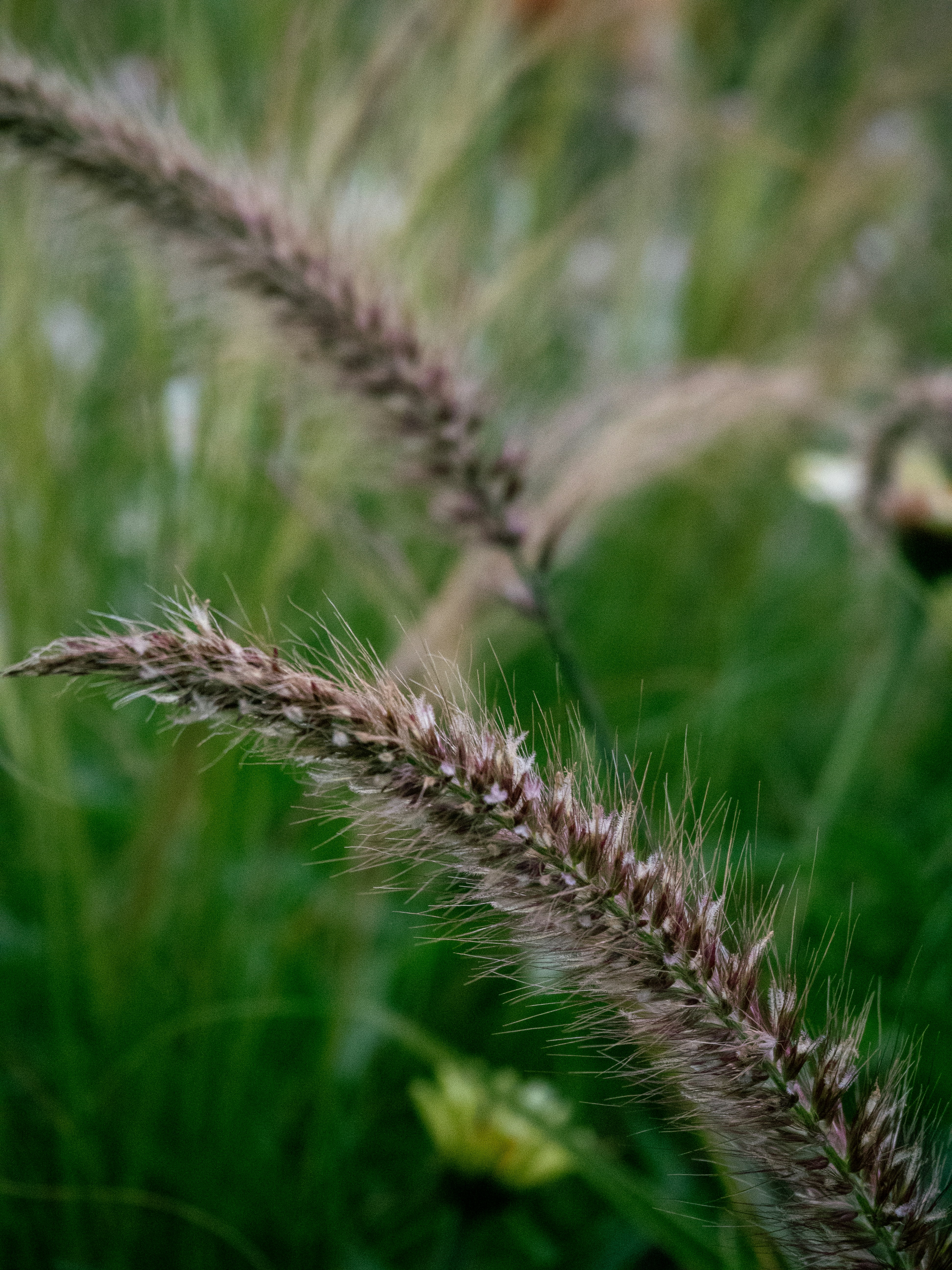 Photo by janifreelancing