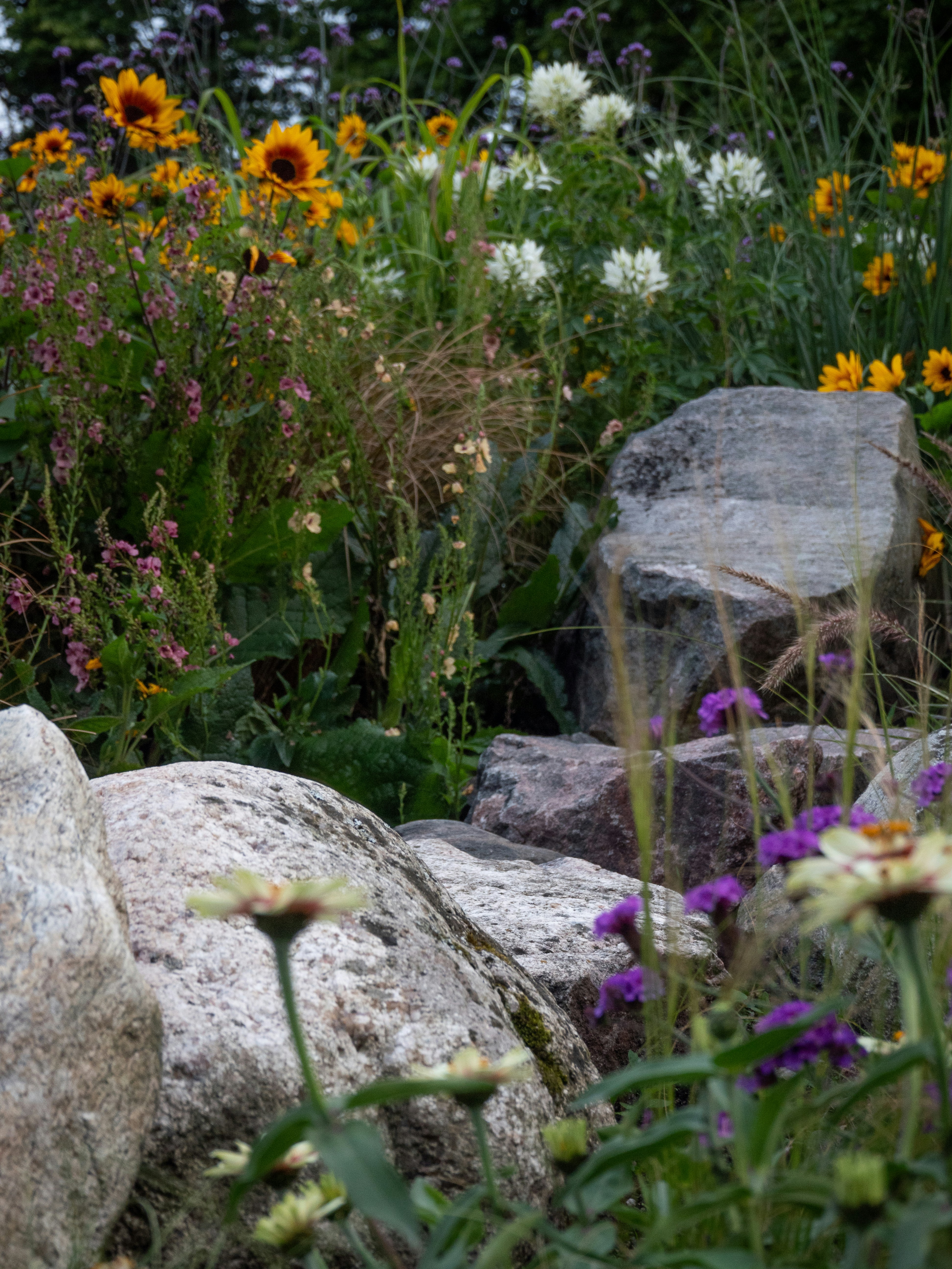 Photo by janifreelancing