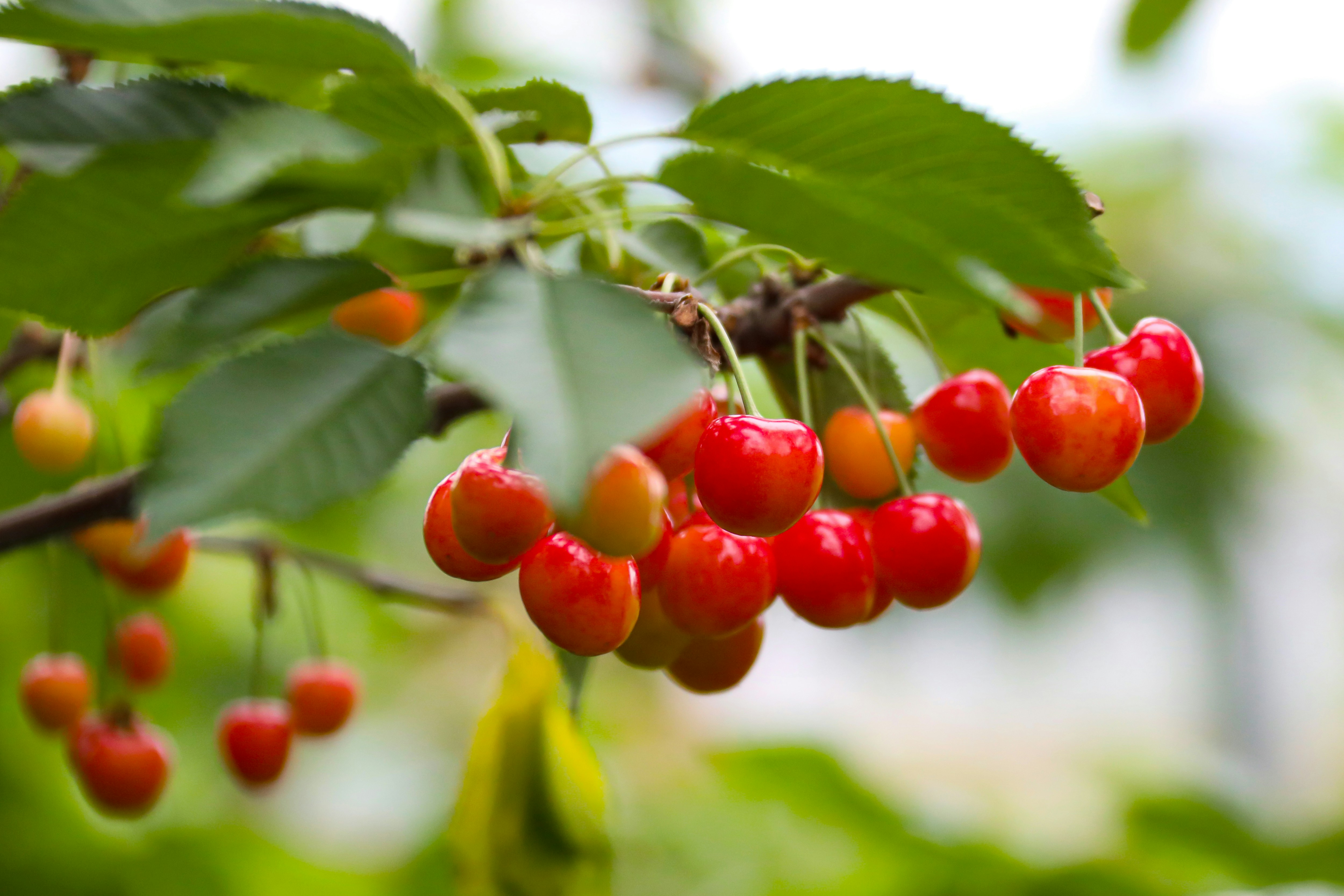 Photo by kim_dae_jeung