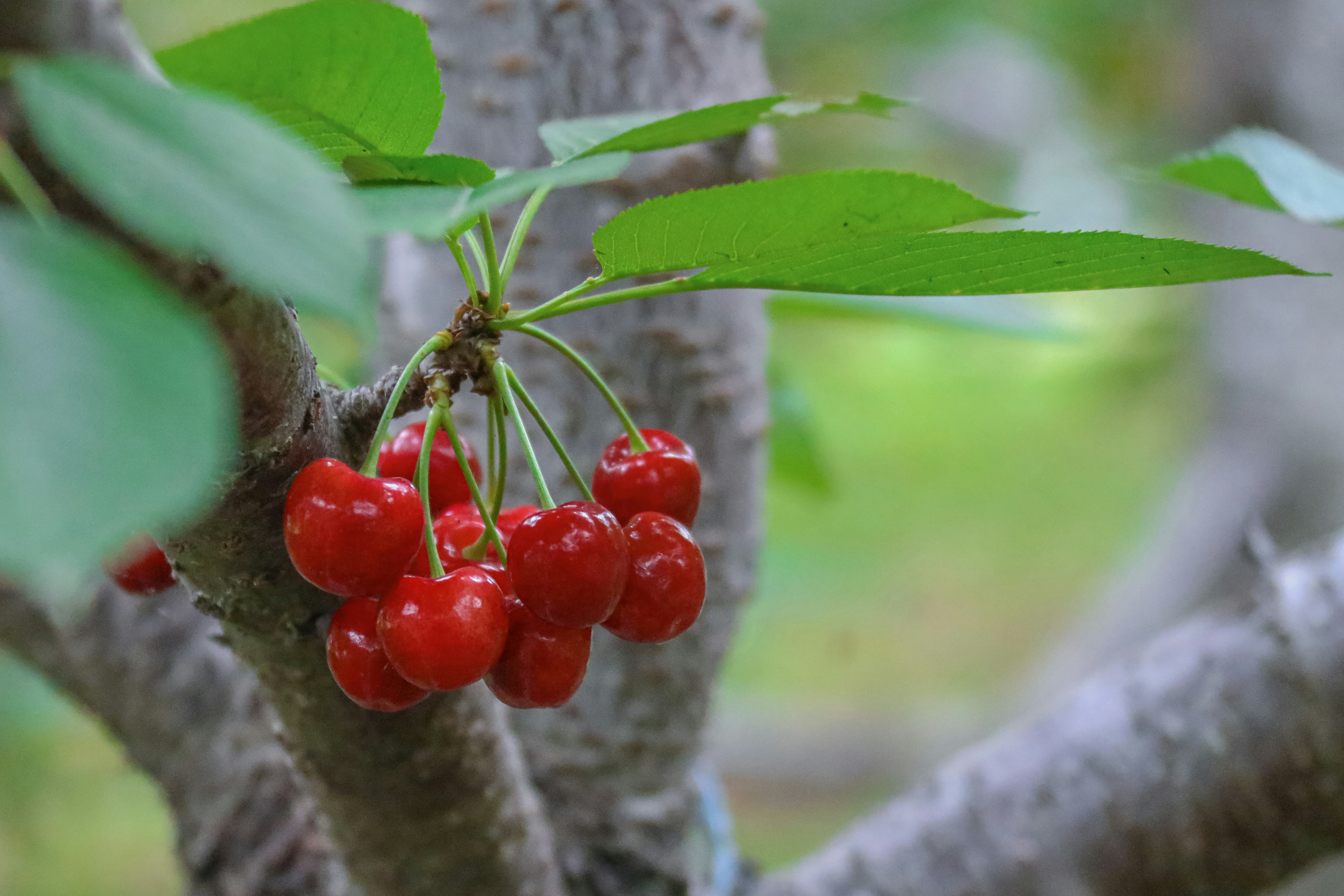 Photo by kim_dae_jeung