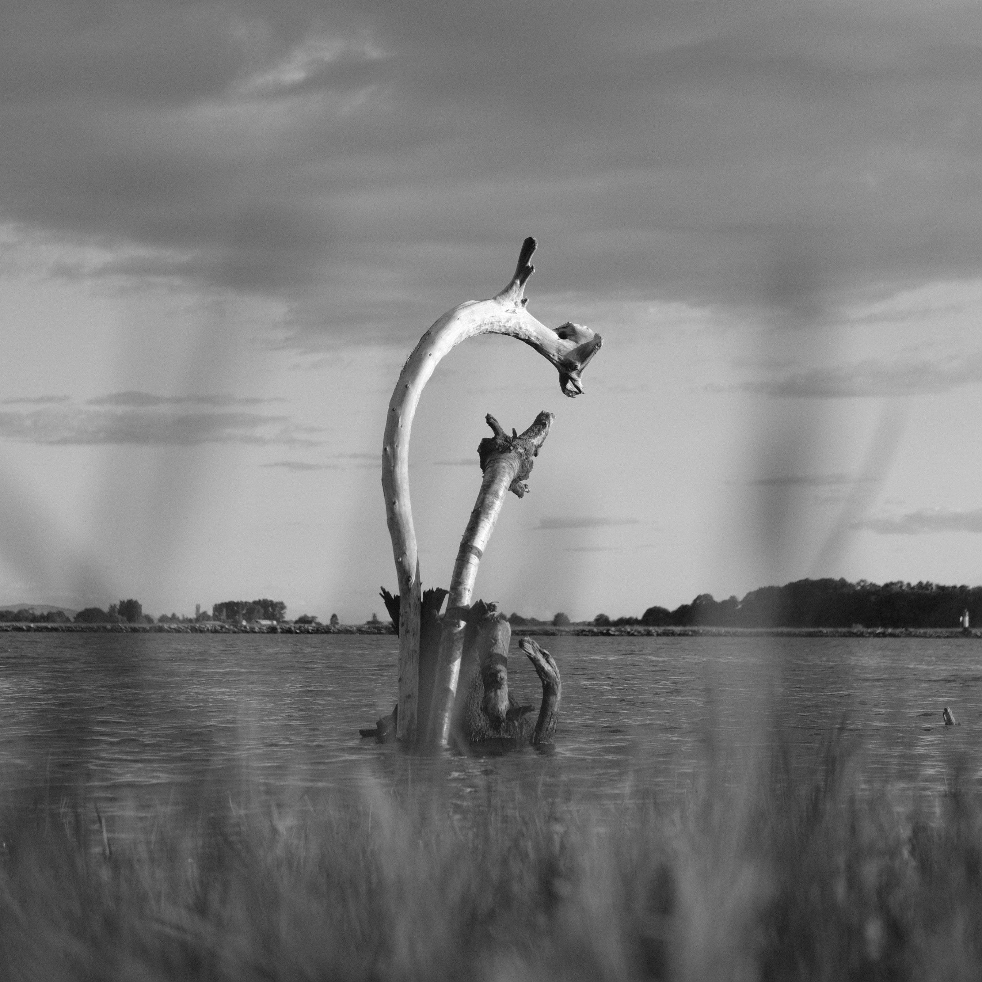 2025-07-09 - 每次獲悉系友離世的消息，不知為何都失落得無以復加，作死亡從眾解？或許是想到一抹更年輕的靈魂消逝，又或者是我們都曾經不斷地於漫長又難捱的學術裡輾轉，在同棟樓像光點般穿梭，而她甚至還沒行過這一切。<