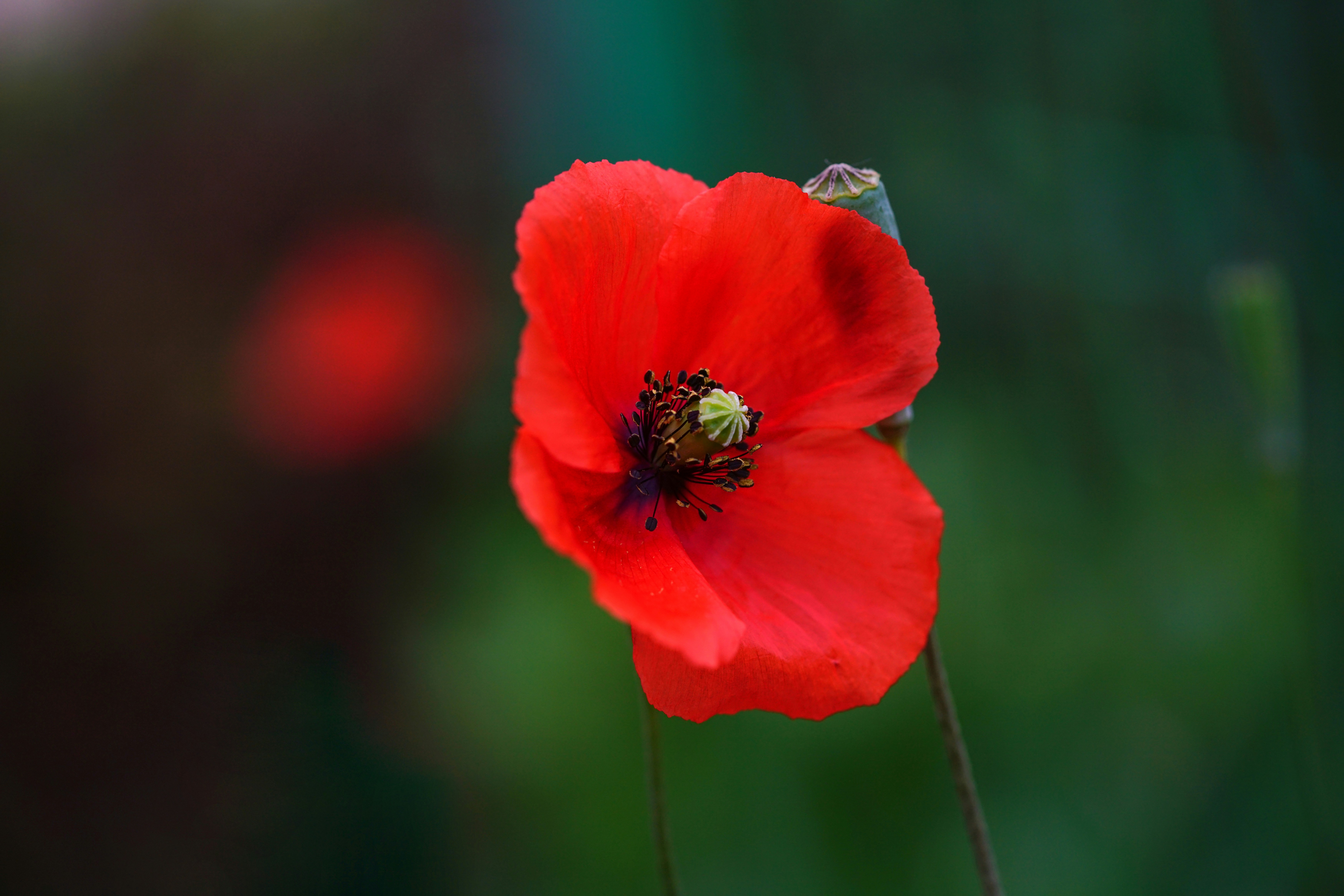 Photo by kim_dae_jeung