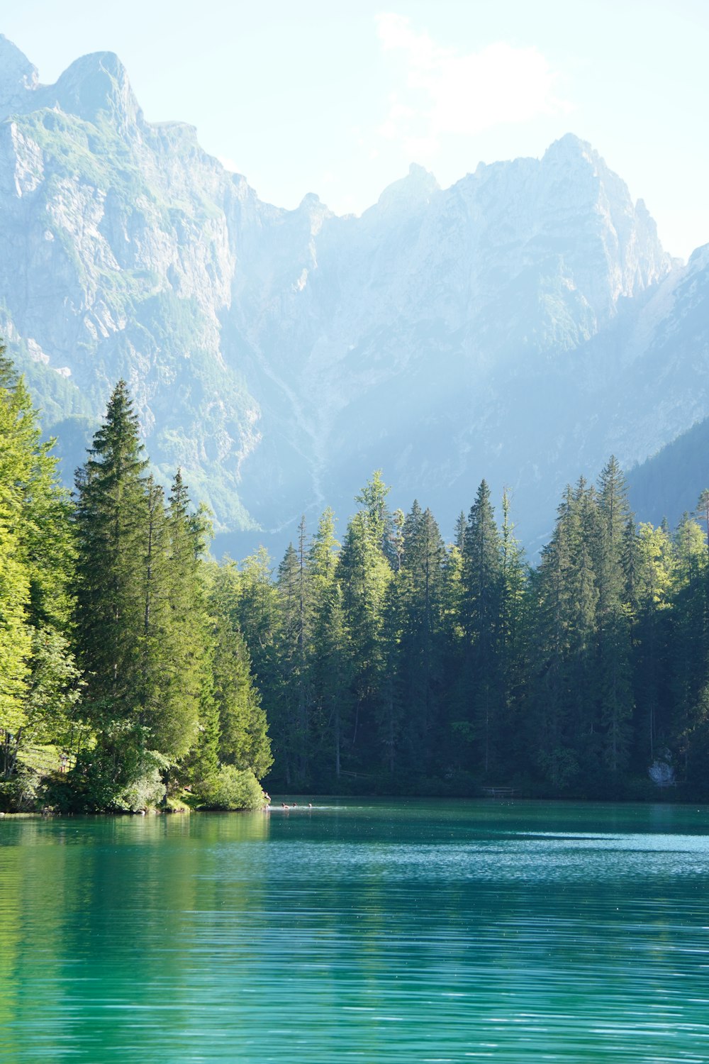 a body of water surrounded by trees and mountains