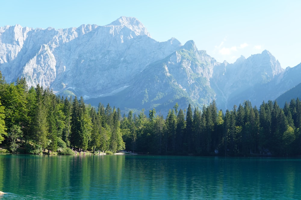 a lake surrounded by trees and mountains