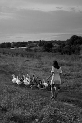 A person wearing a dress and boots walks along a dirt path in a rural setting, surrounded by a flock of geese. The landscape features wide open fields and distant trees under a vast sky, creating a peaceful countryside scene.