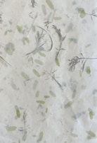 Close-up of textured paper with hand-drawn botanical sketches in muted green tones.