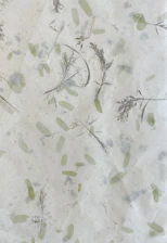 A textured surface featuring pressed botanical elements such as dried branches and leaves. The arrangement is sparse, with delicate foliage scattered randomly across a pale background, giving an organic and natural appearance.