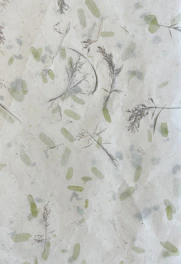 A vintage botanical illustration framed in aged parchment with soft linen textures.