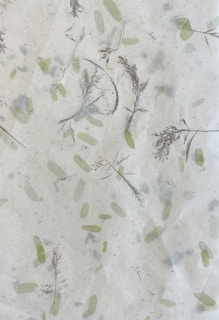 A textured surface featuring pressed botanical elements such as dried branches and leaves. The arrangement is sparse, with delicate foliage scattered randomly across a pale background, giving an organic and natural appearance.