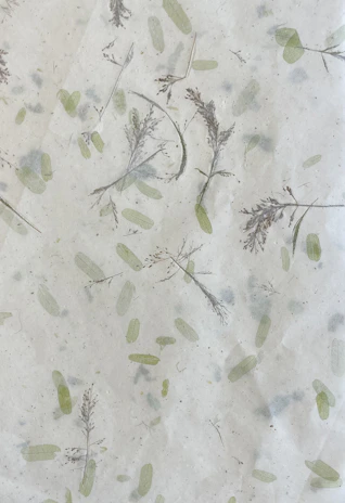 A textured surface featuring pressed botanical elements such as dried branches and leaves. The arrangement is sparse, with delicate foliage scattered randomly across a pale background, giving an organic and natural appearance.