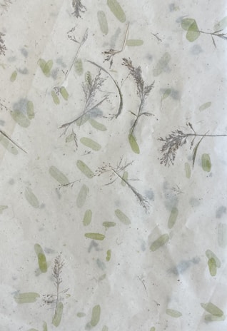 A textured surface featuring pressed botanical elements such as dried branches and leaves. The arrangement is sparse, with delicate foliage scattered randomly across a pale background, giving an organic and natural appearance.